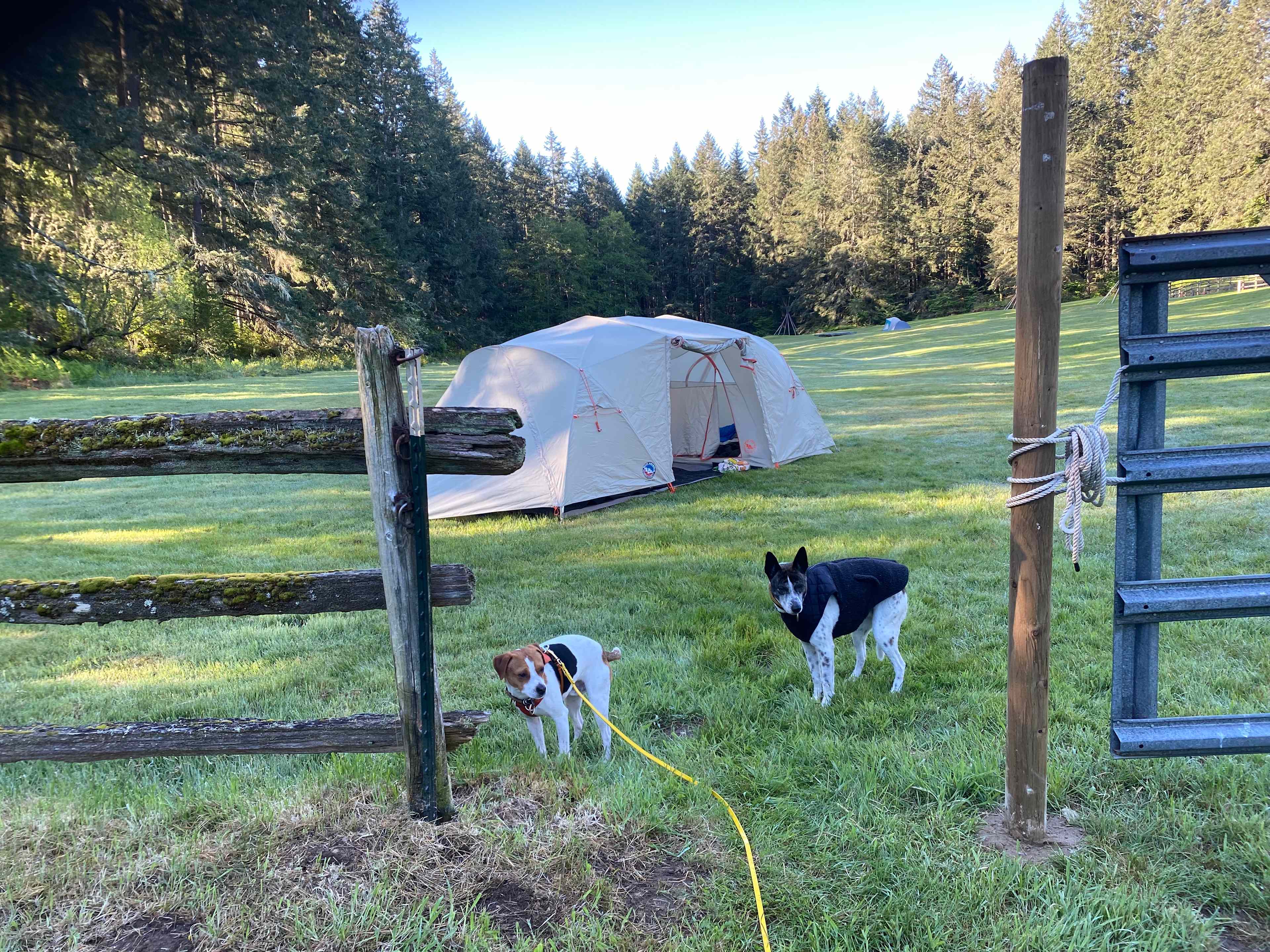 AYH Ranch Campground & Lodging
