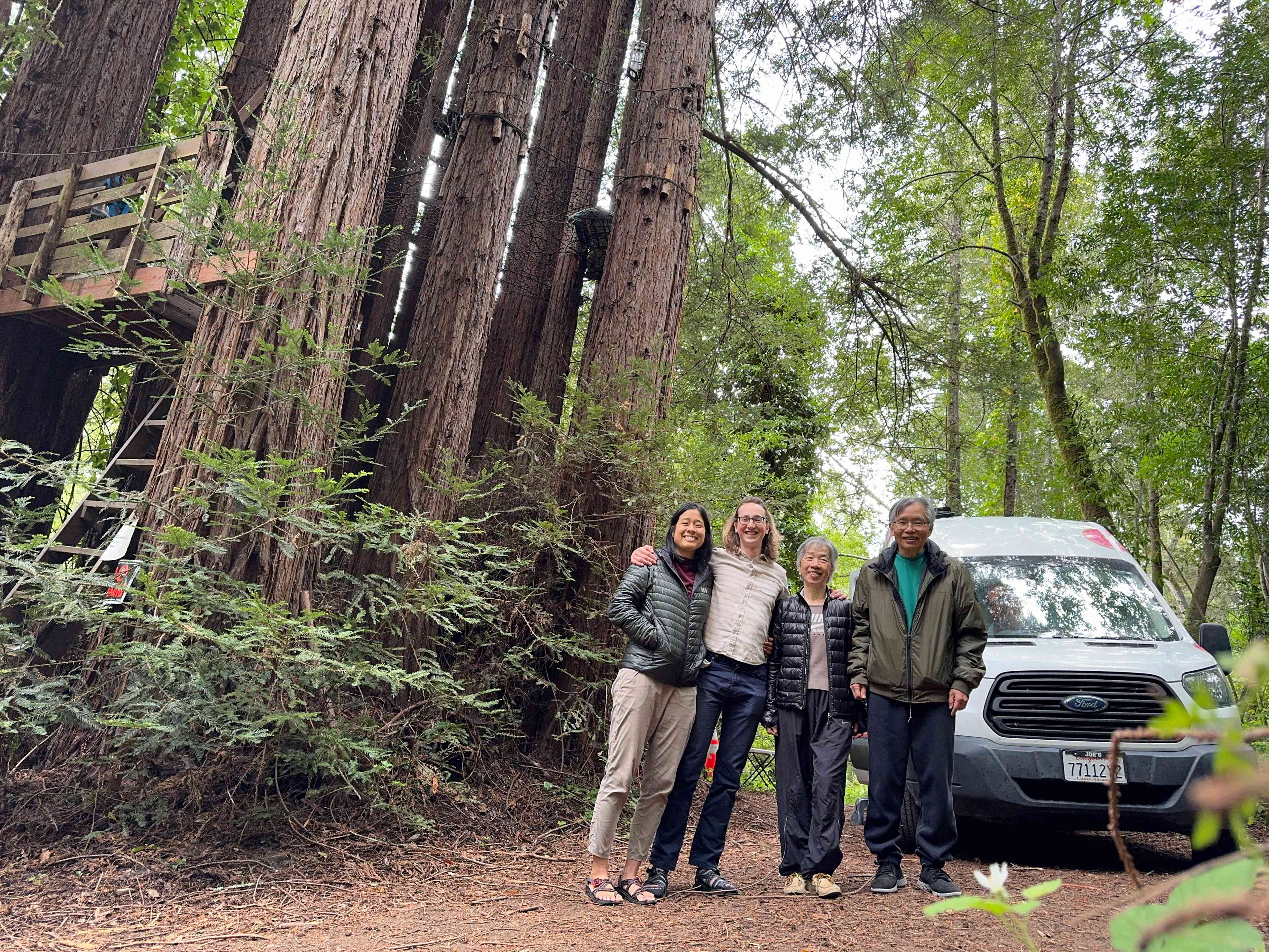 Sleep Up High In A Redwood Tree-net