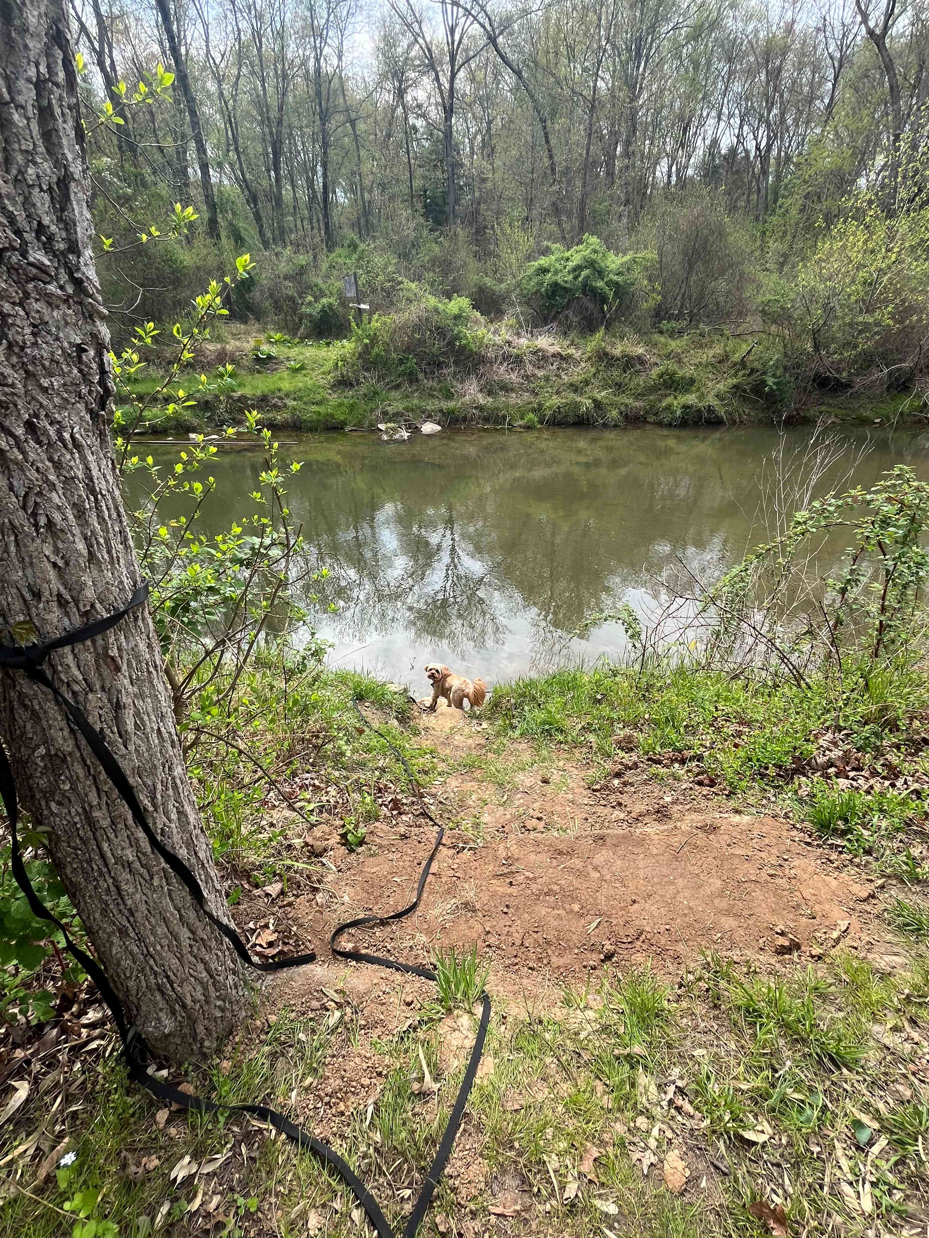 Creekside Orchard