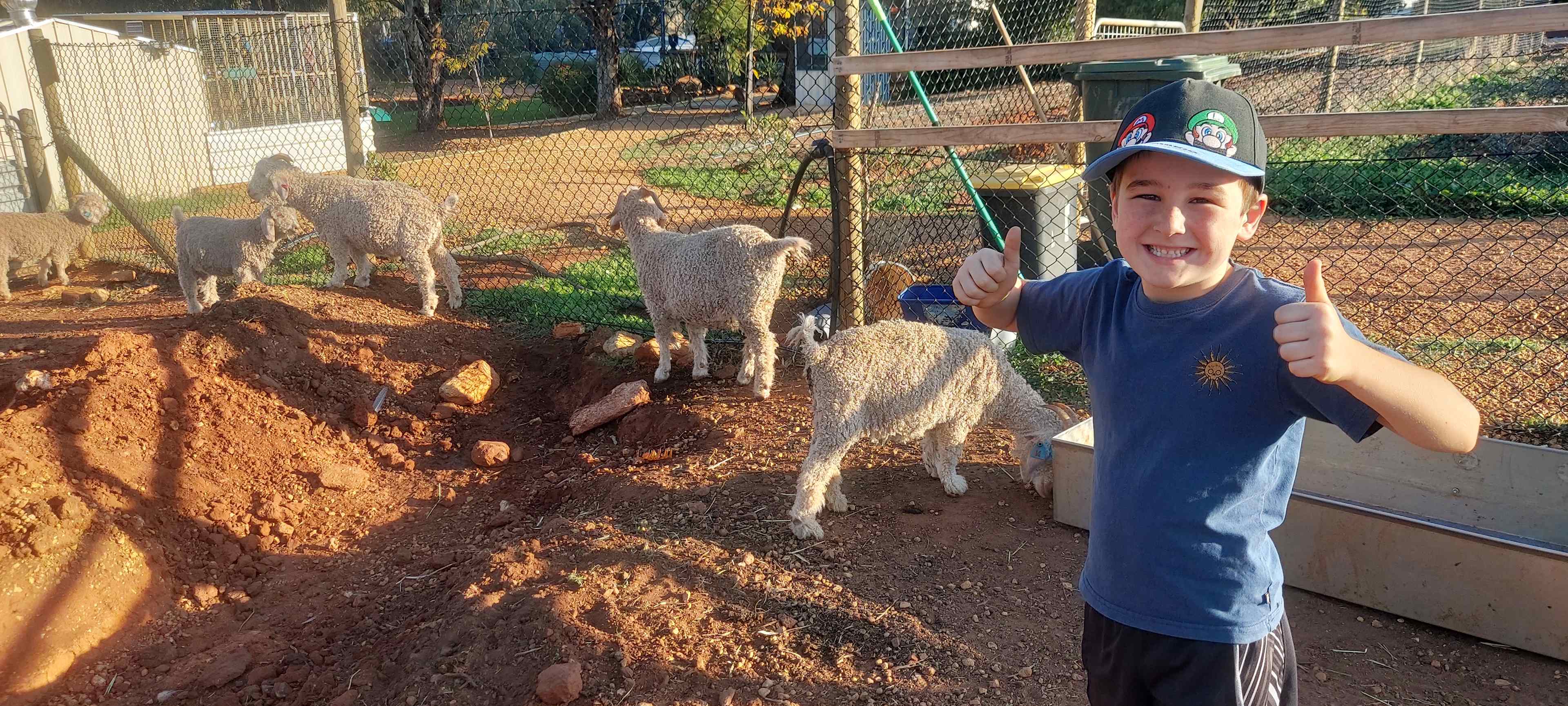 Sandalwood Downs  Farm Stay Toodyay