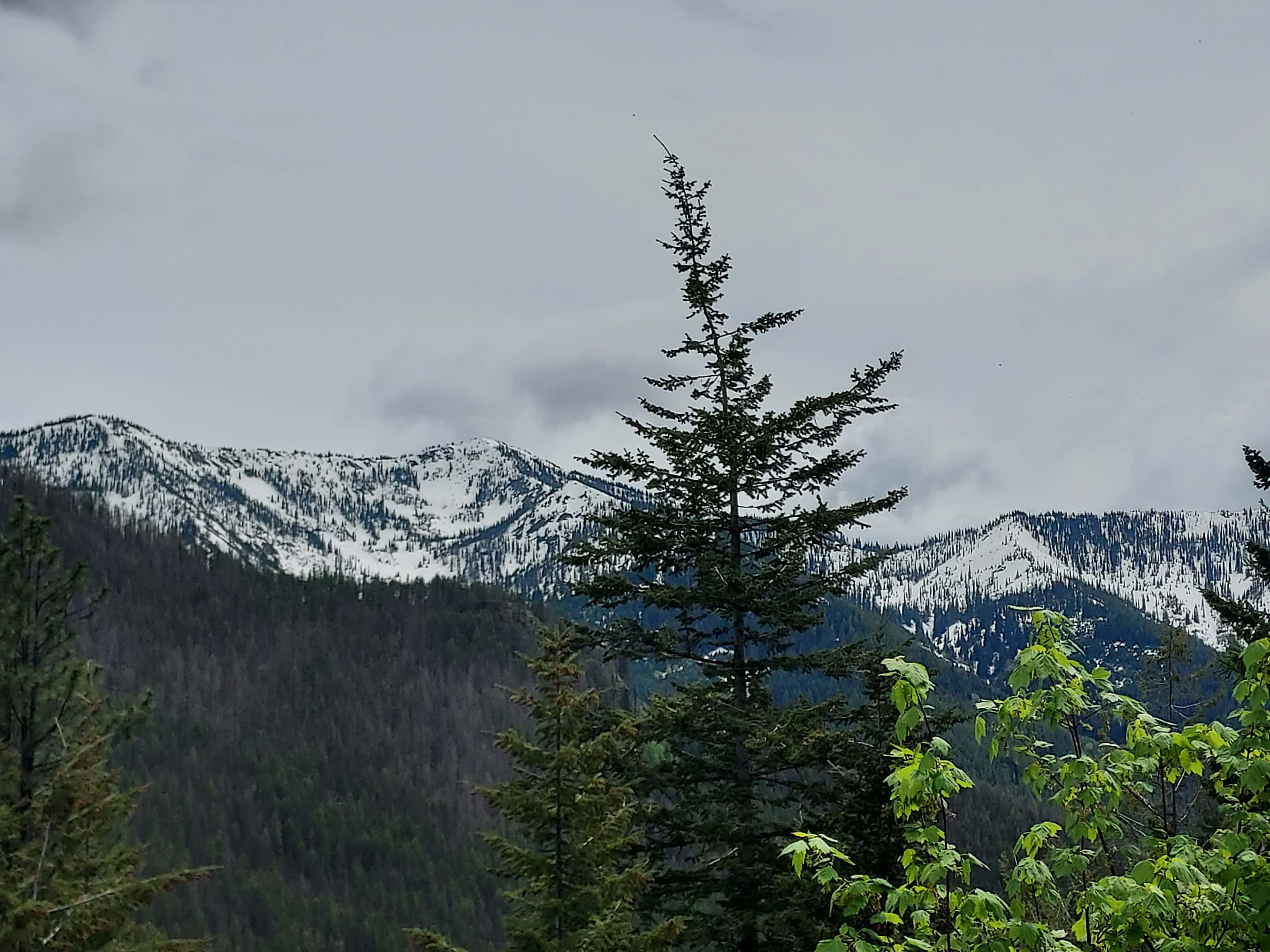 Maverick Mountain Home