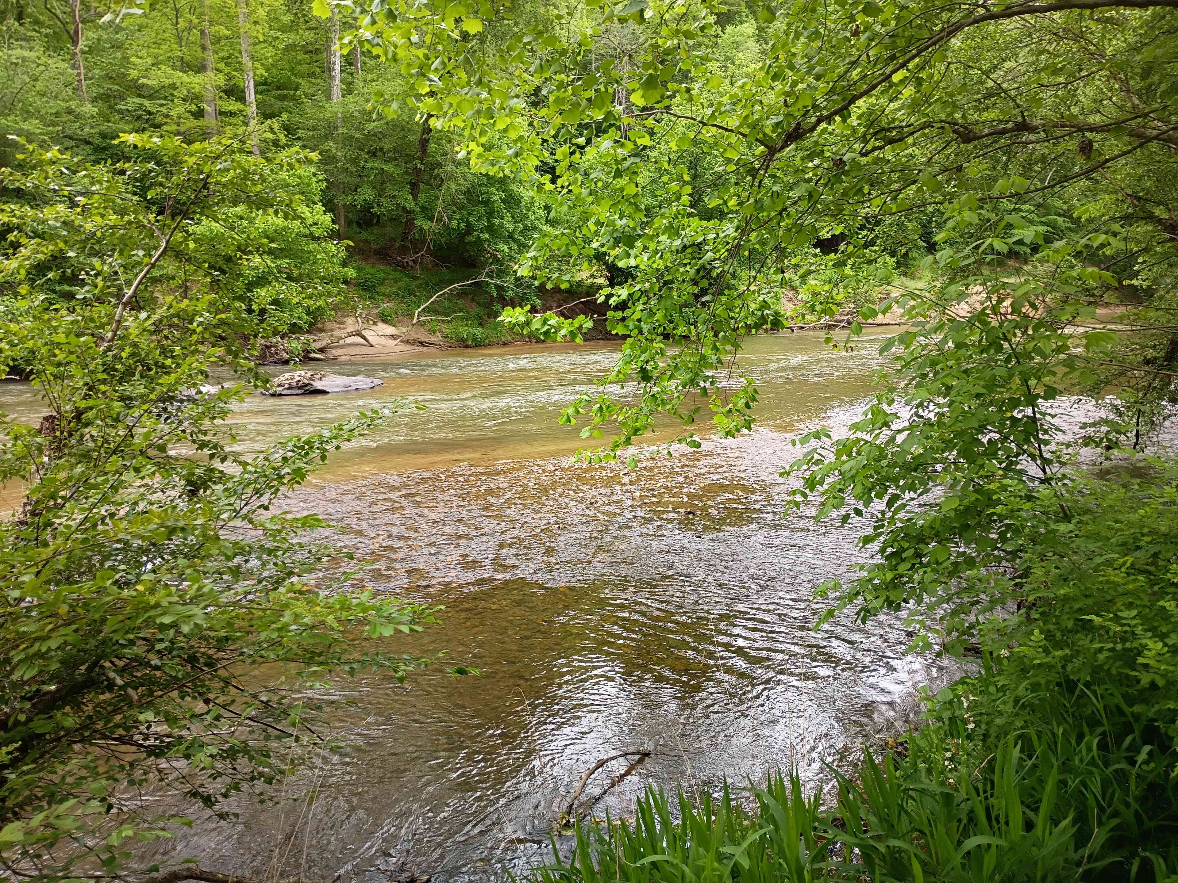 Carl’s Campsites - Riverside