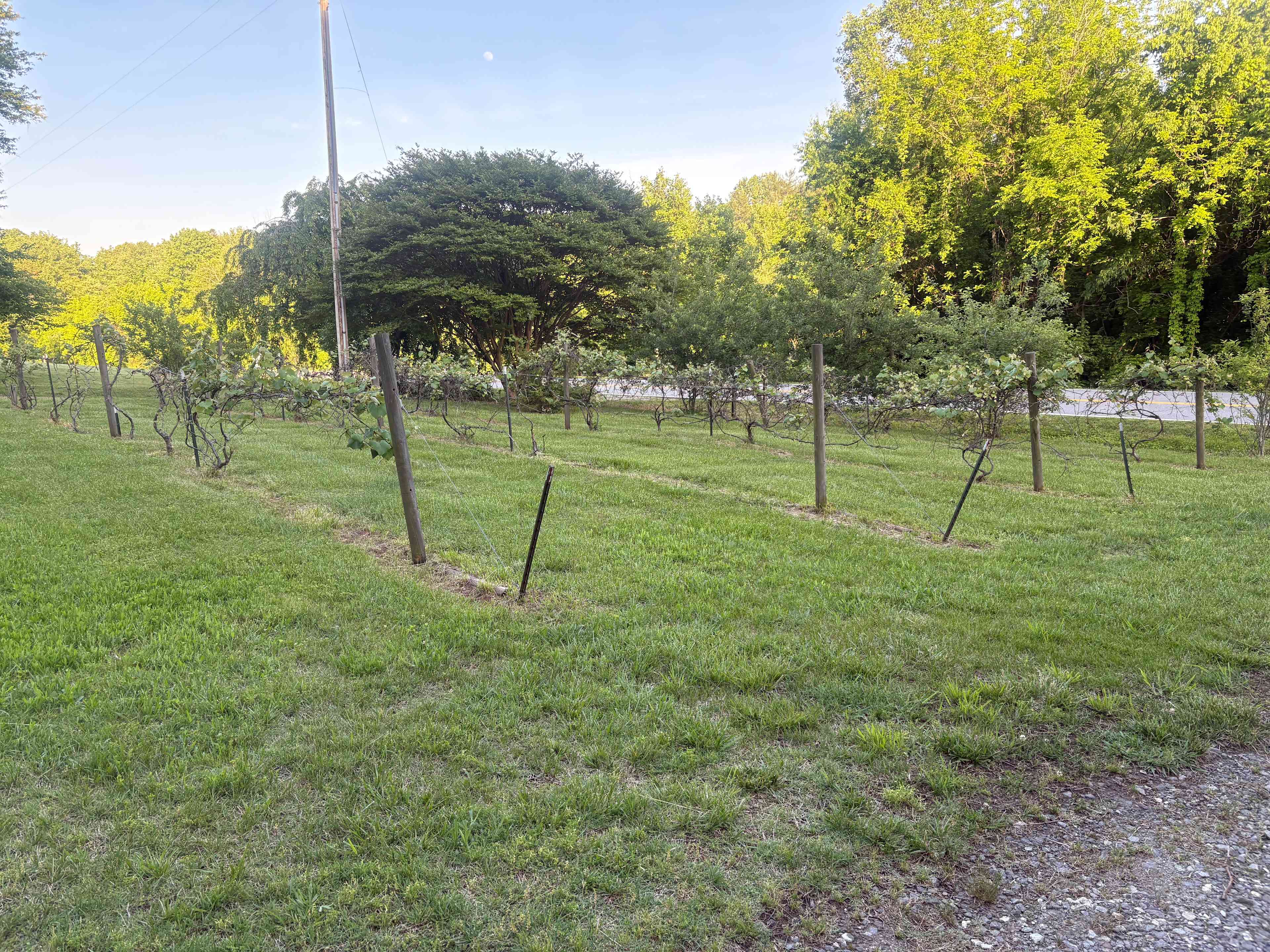Eden Oaks Vineyard & Campground