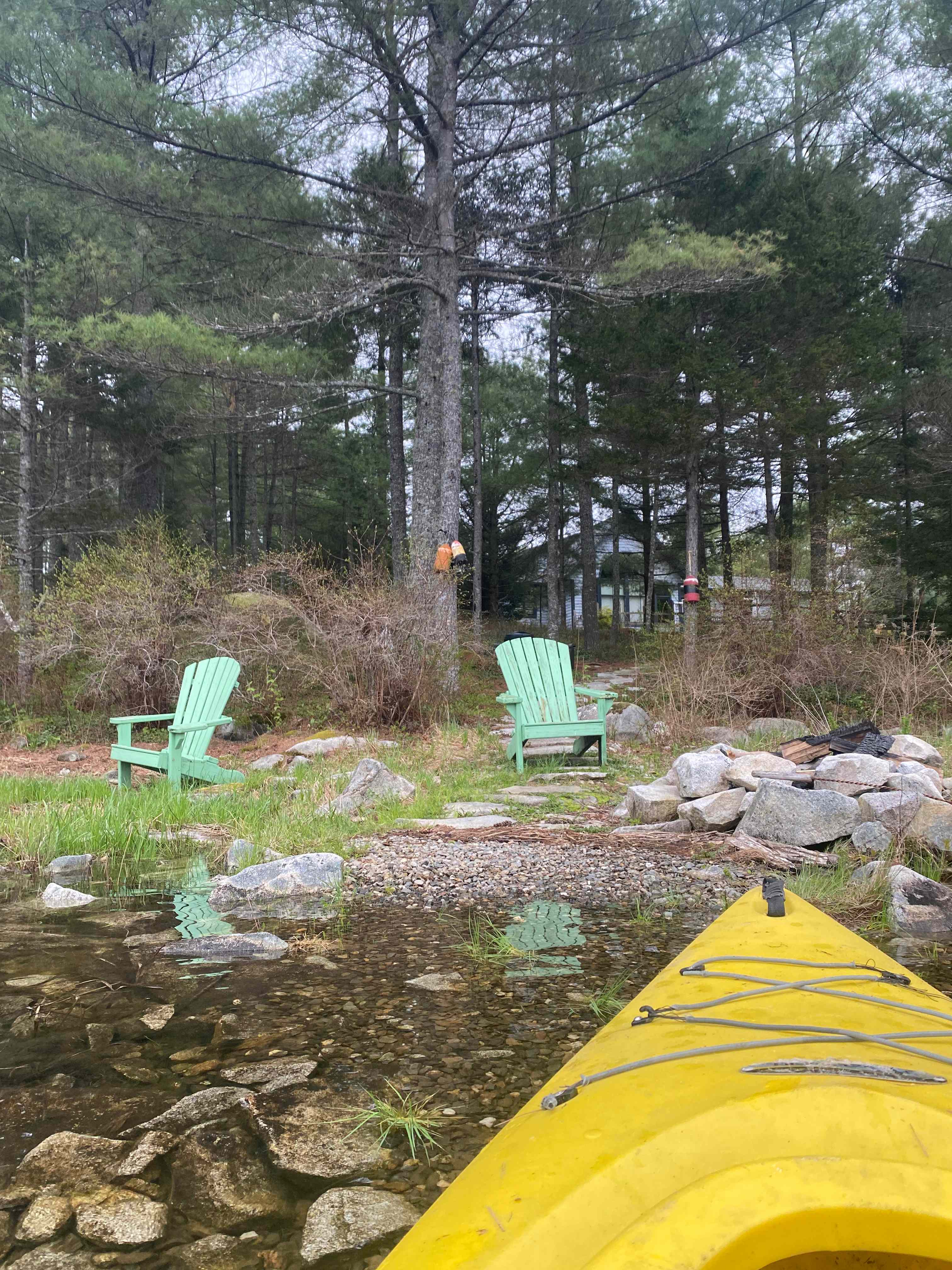 The Lonely Loon