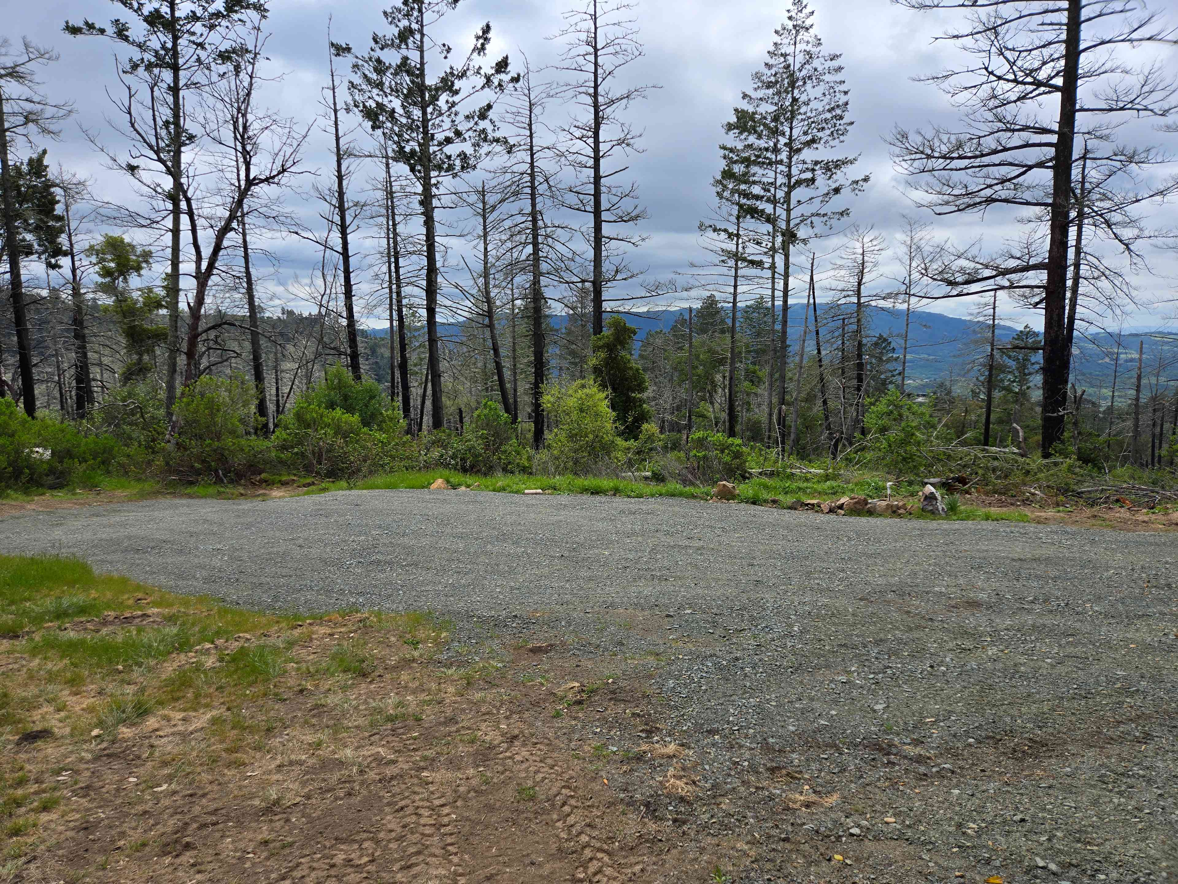 This is the site space.