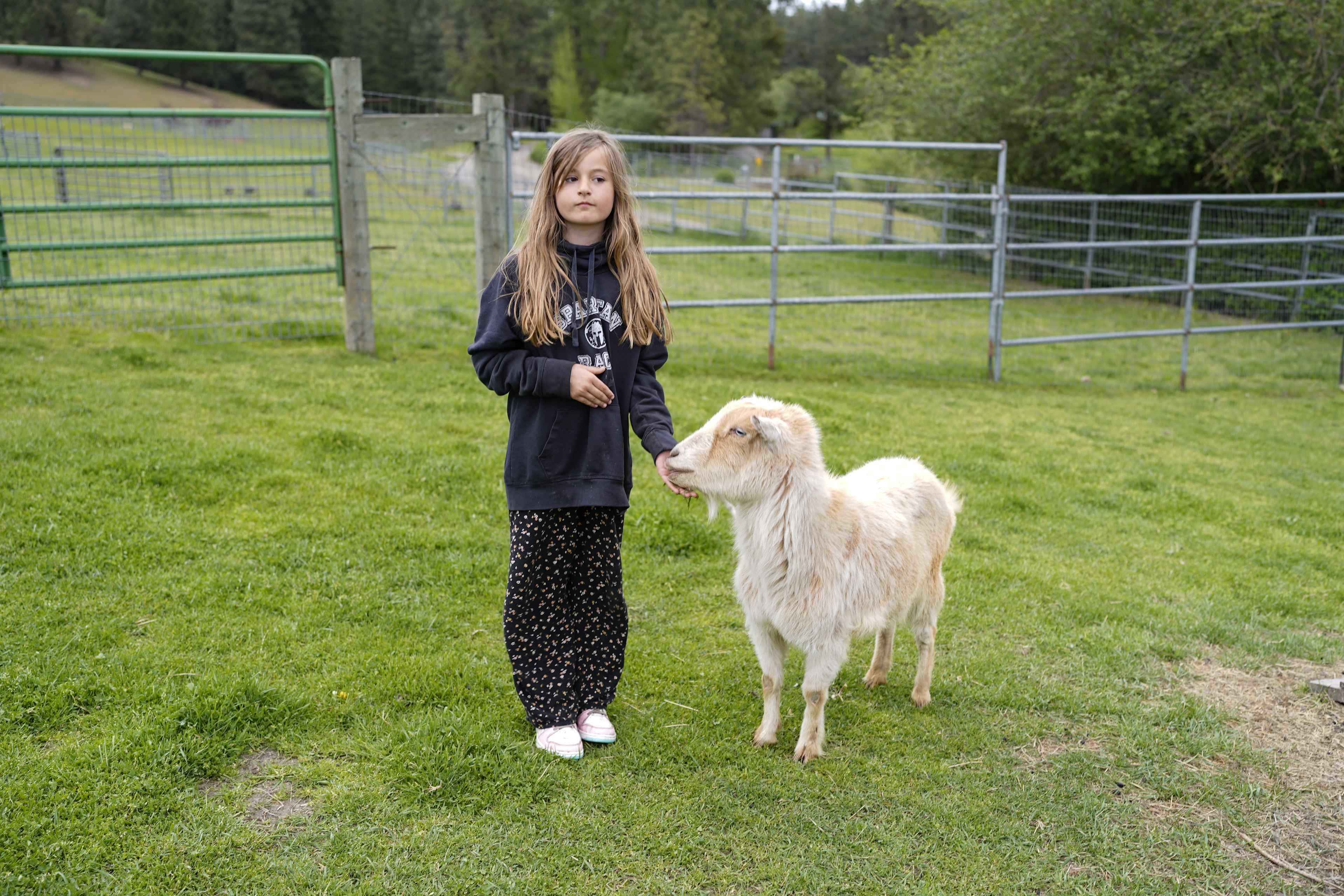 Seven Stars Alpaca Ranch LLC