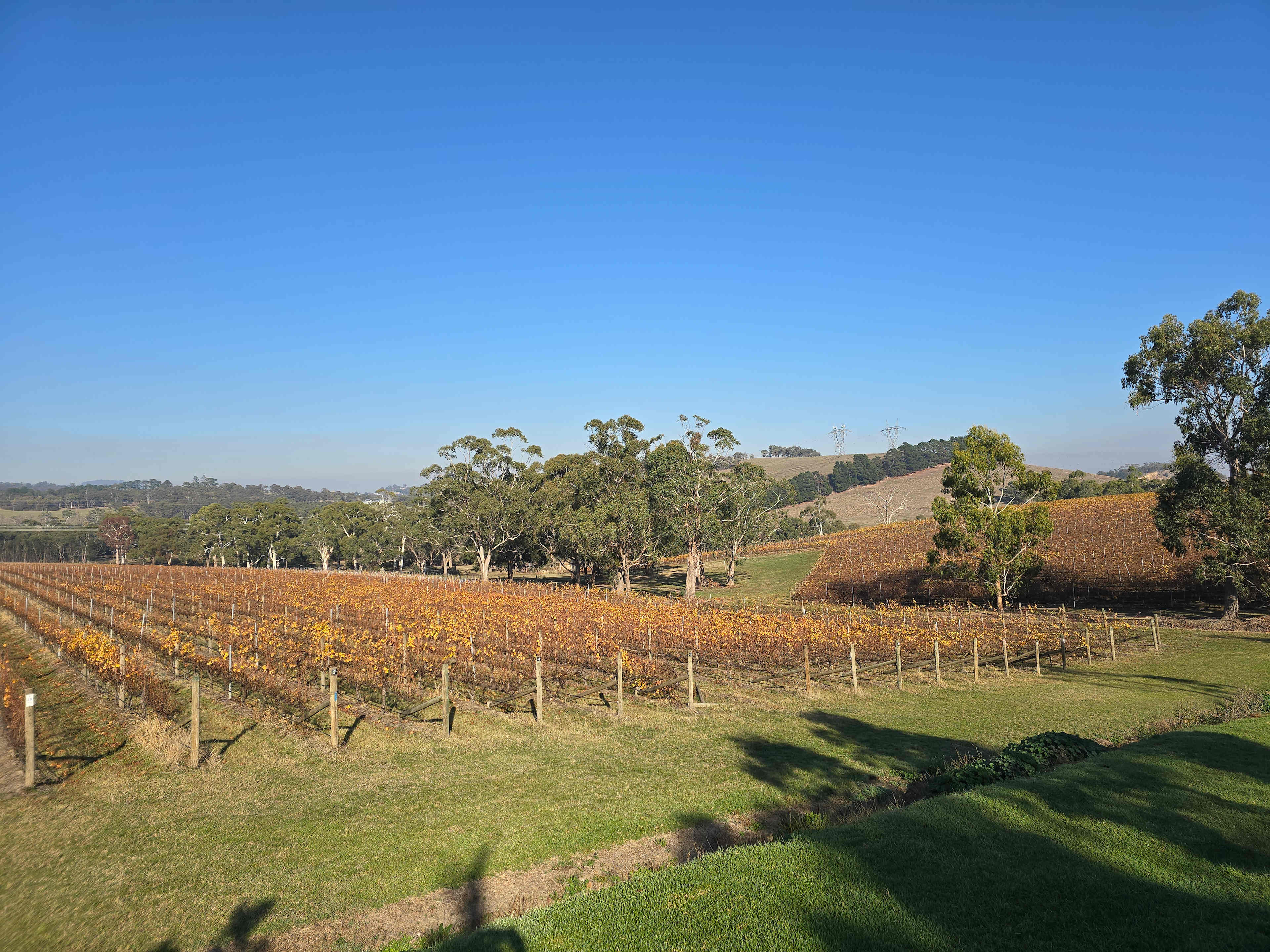 Yarra Valley Vineyard Views