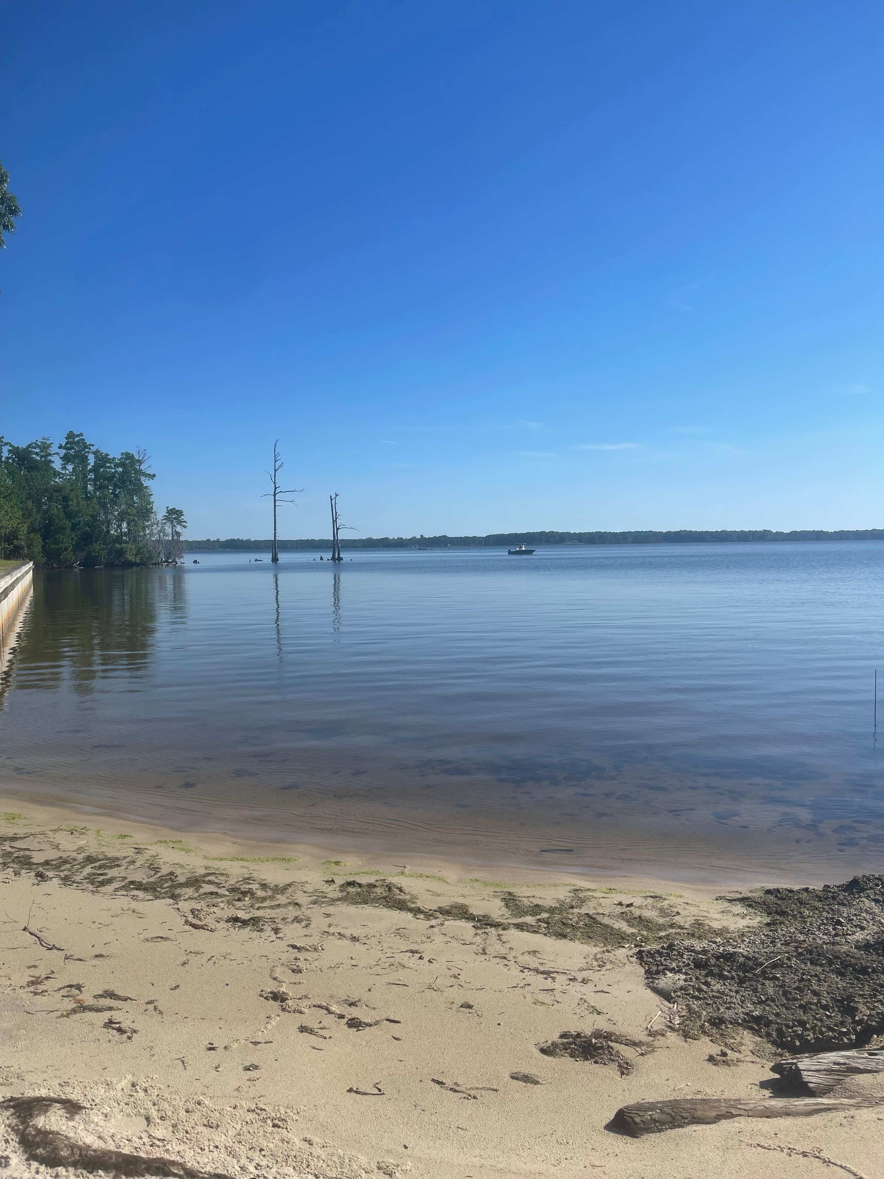 Proctor Point