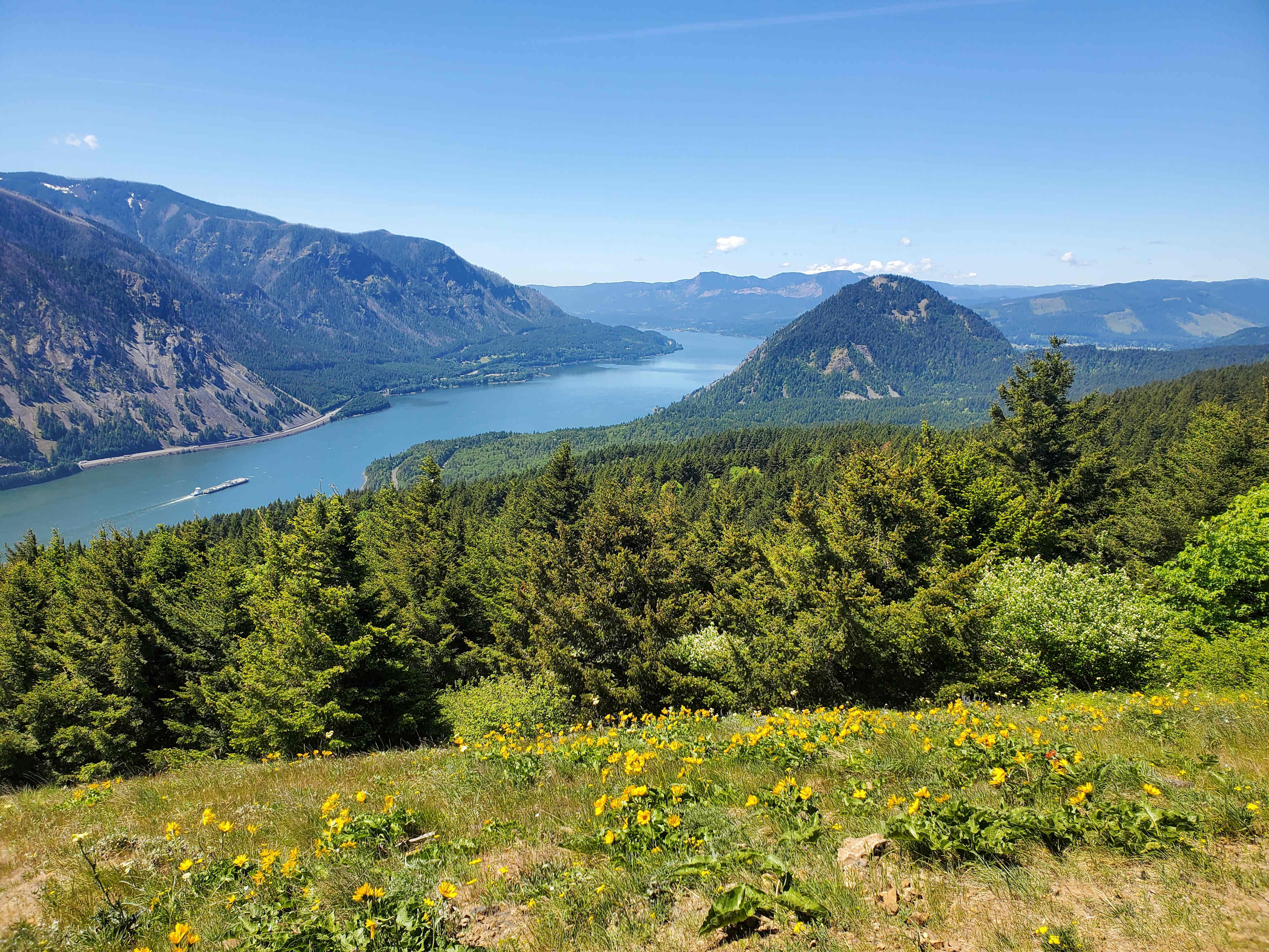 Dog Mountain RV Park & Lodge