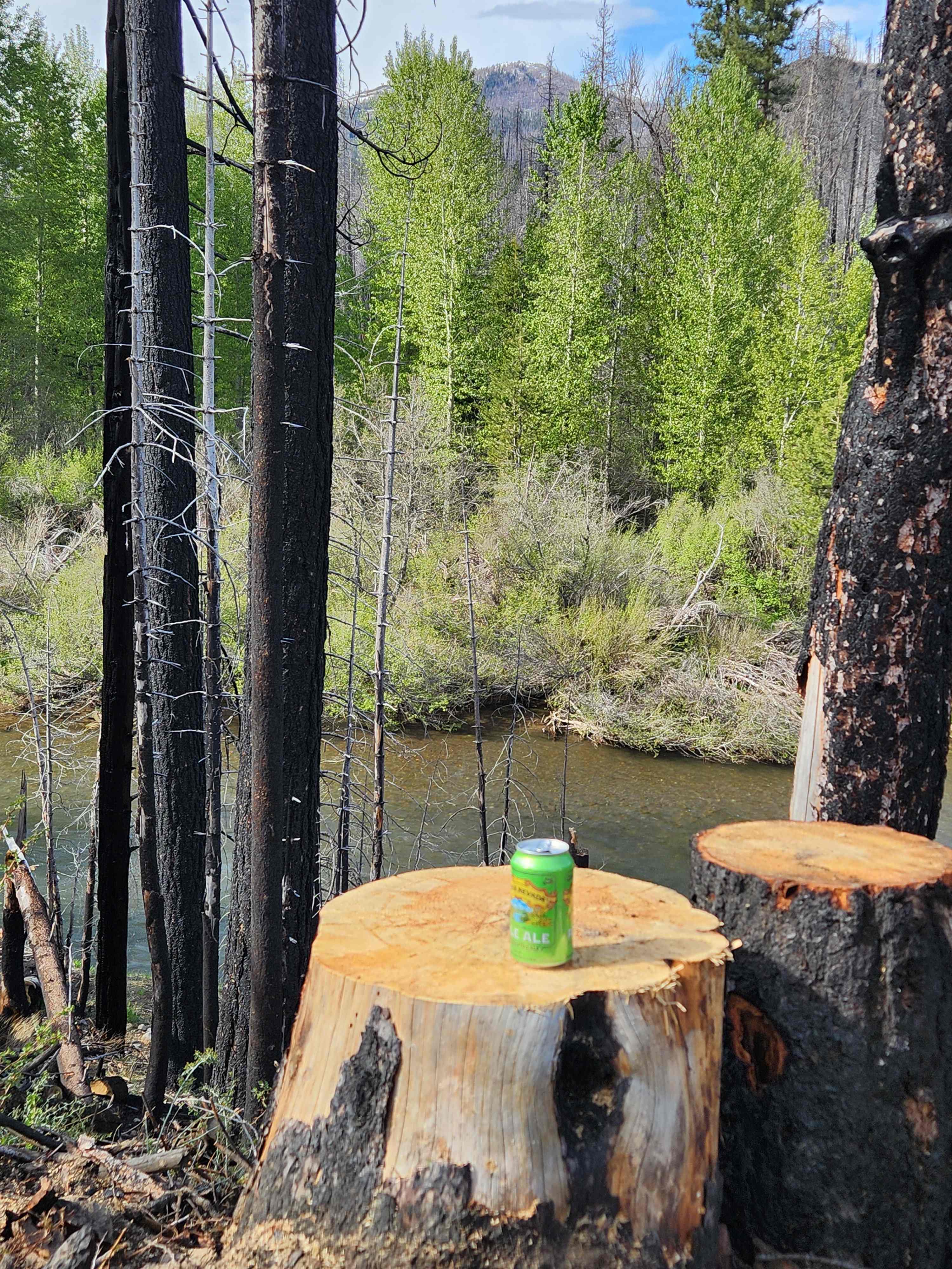 Story Creekside Retreat
