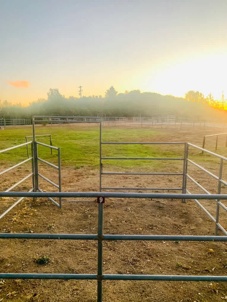 McCall Equestrian Park