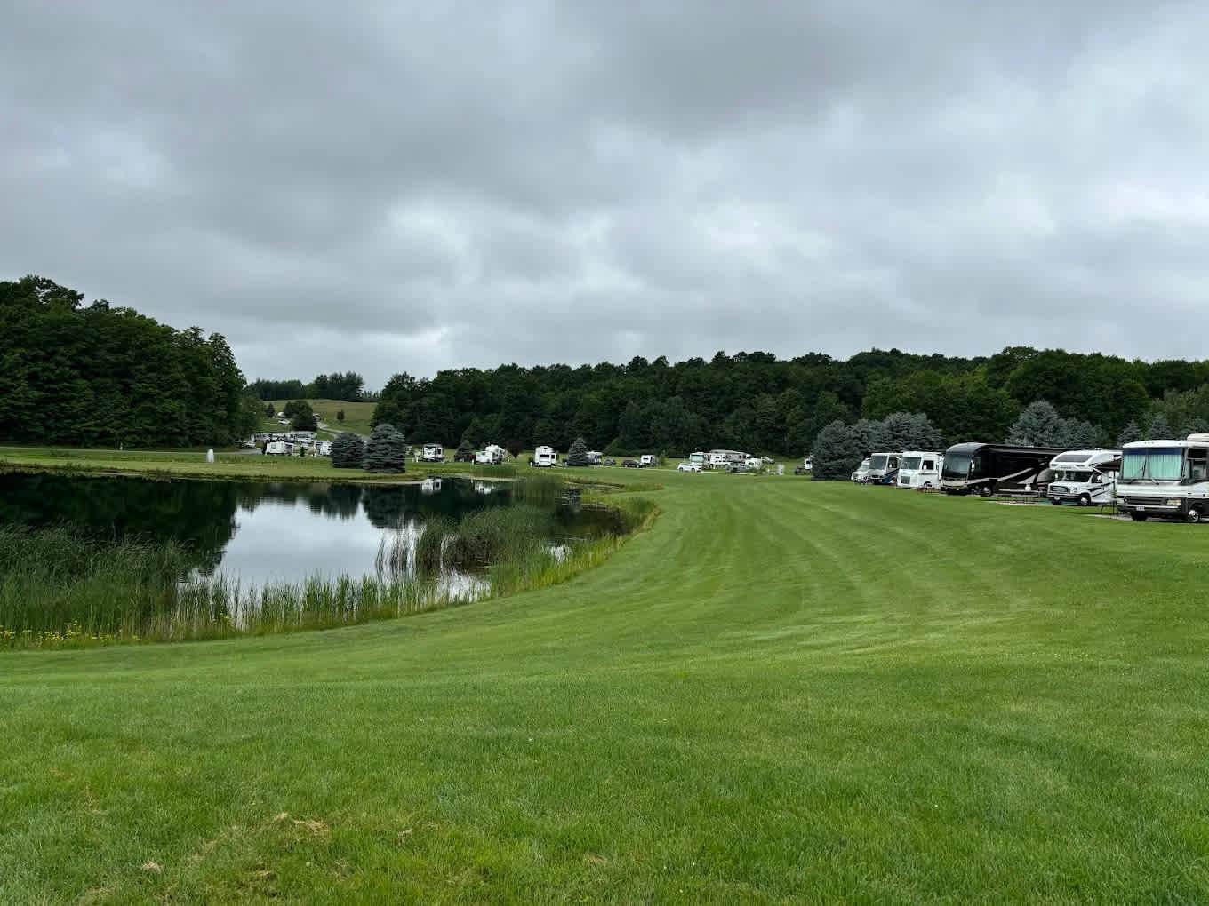 Wild Cherry Resort
