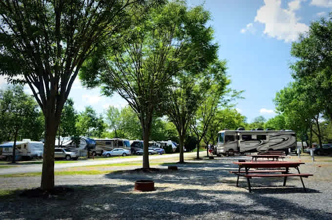 Mountain Springs Camping Resort