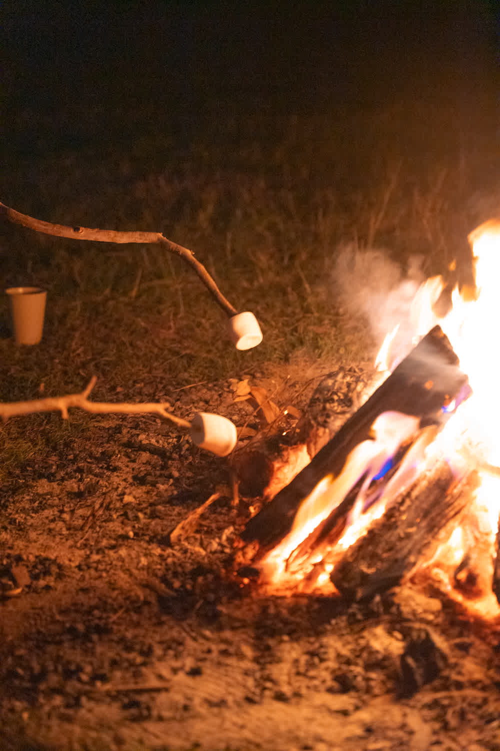 Roast marshmallows under the stars