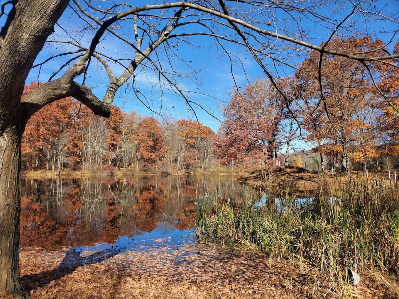 Camp Victory Lake