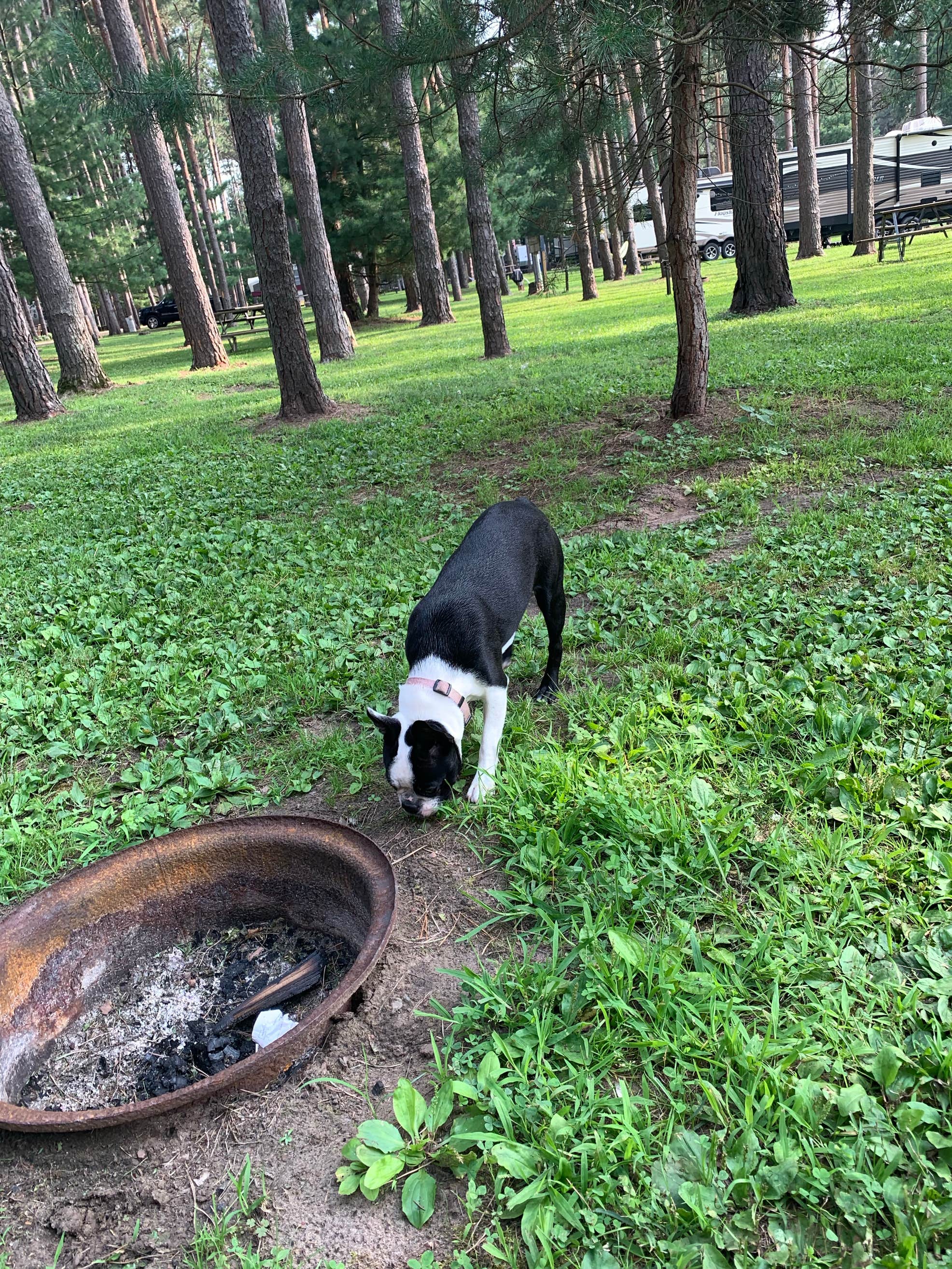 Pine View Campground