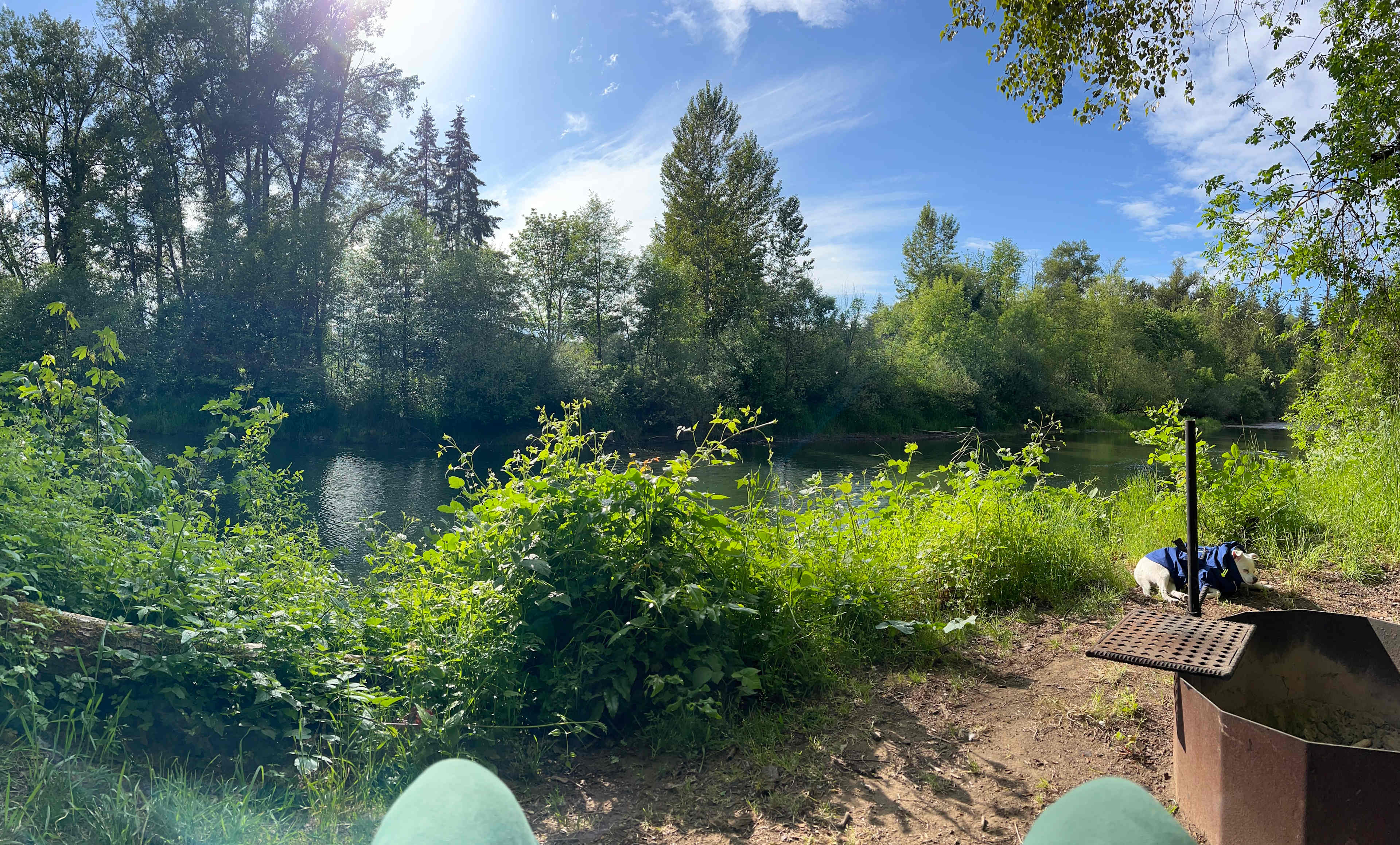Molalla Ripple