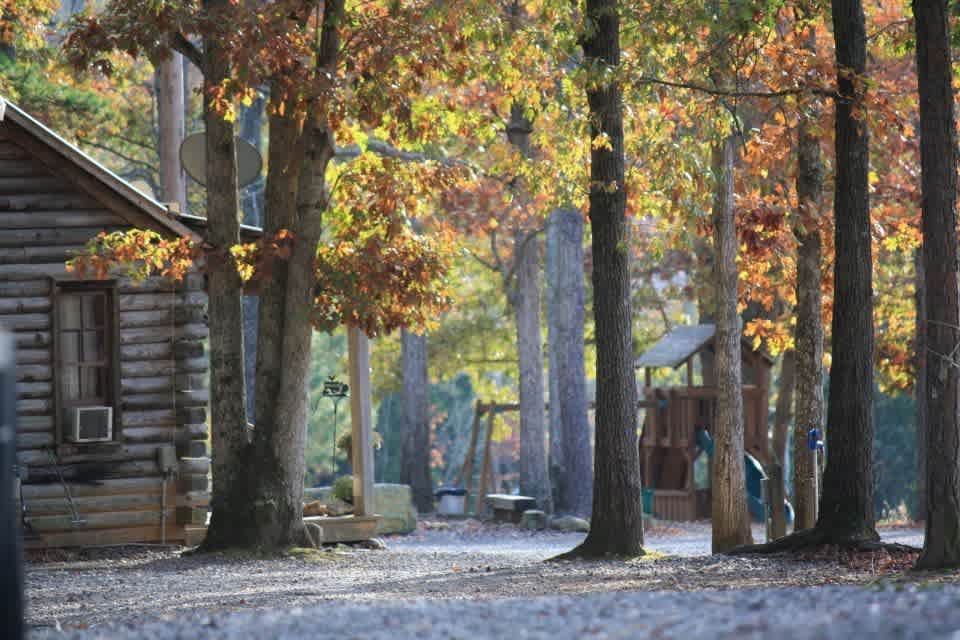 Cotton Patch Gold Mine & Campground