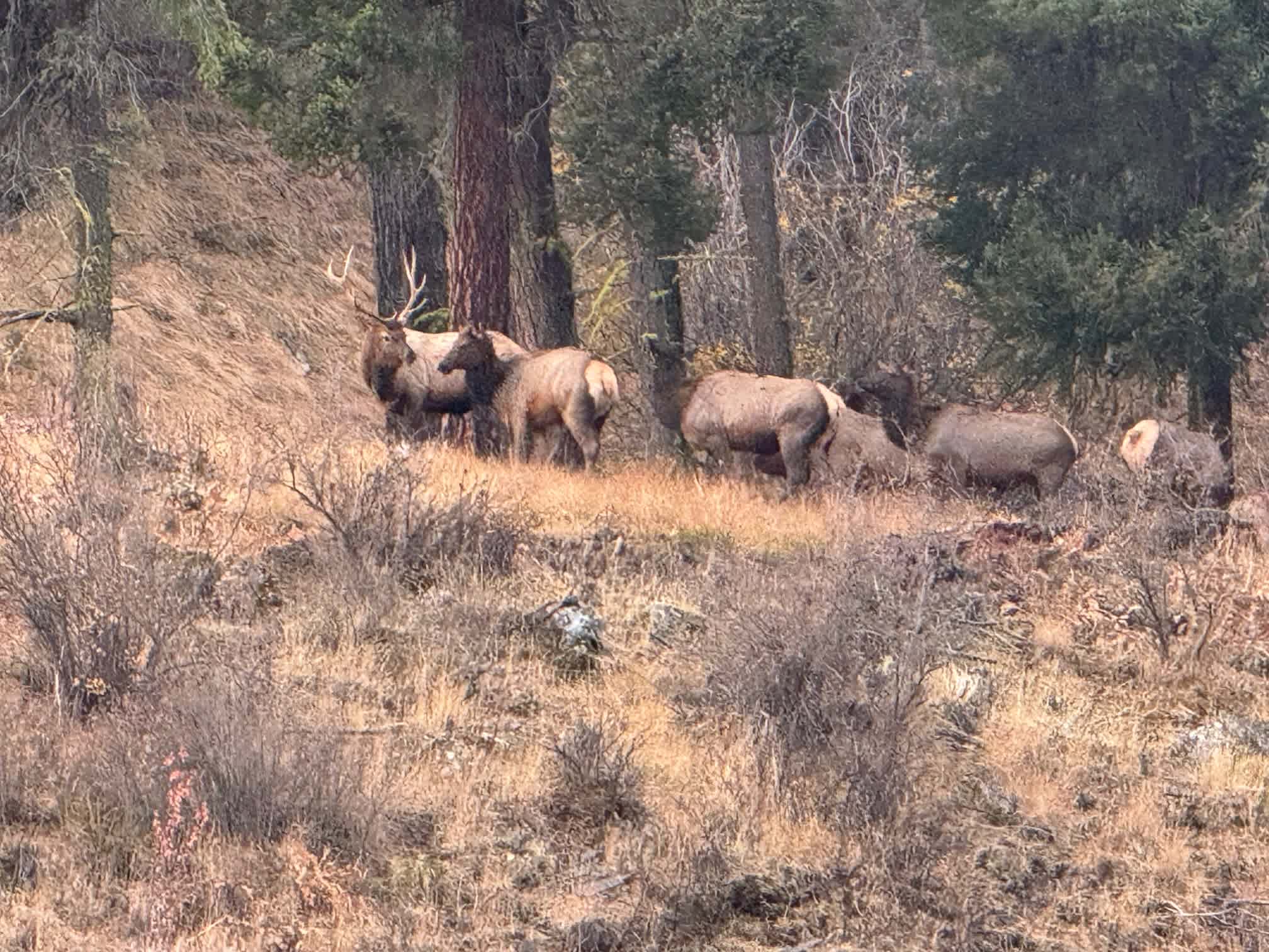 Nest Well On Naches
