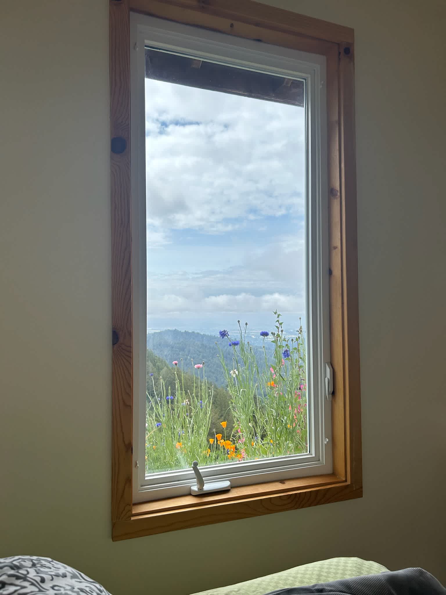 The view from the bed 