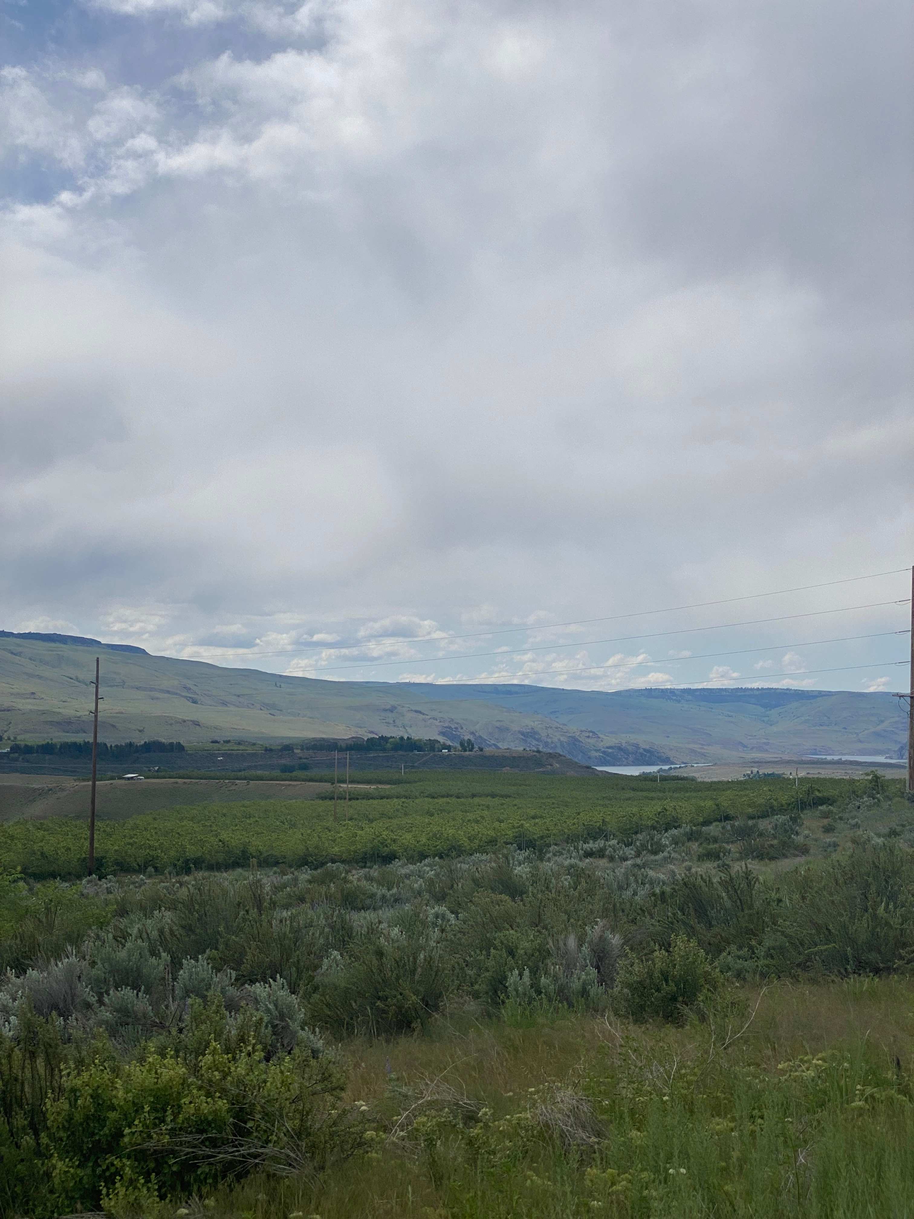 View of the Columbia River and Apple orchards nearby.