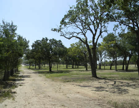 Cove RV Park