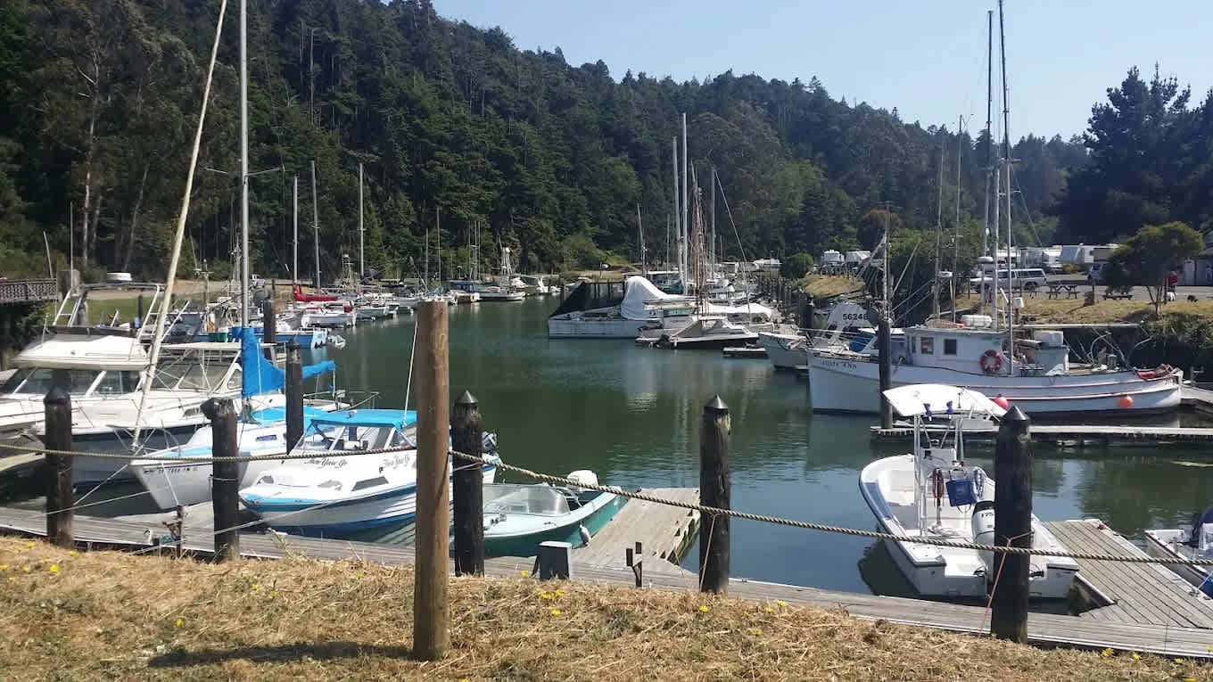 Dolphin Isle Marina and RV Park