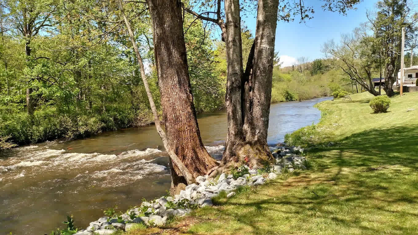 Down by the River Campground
