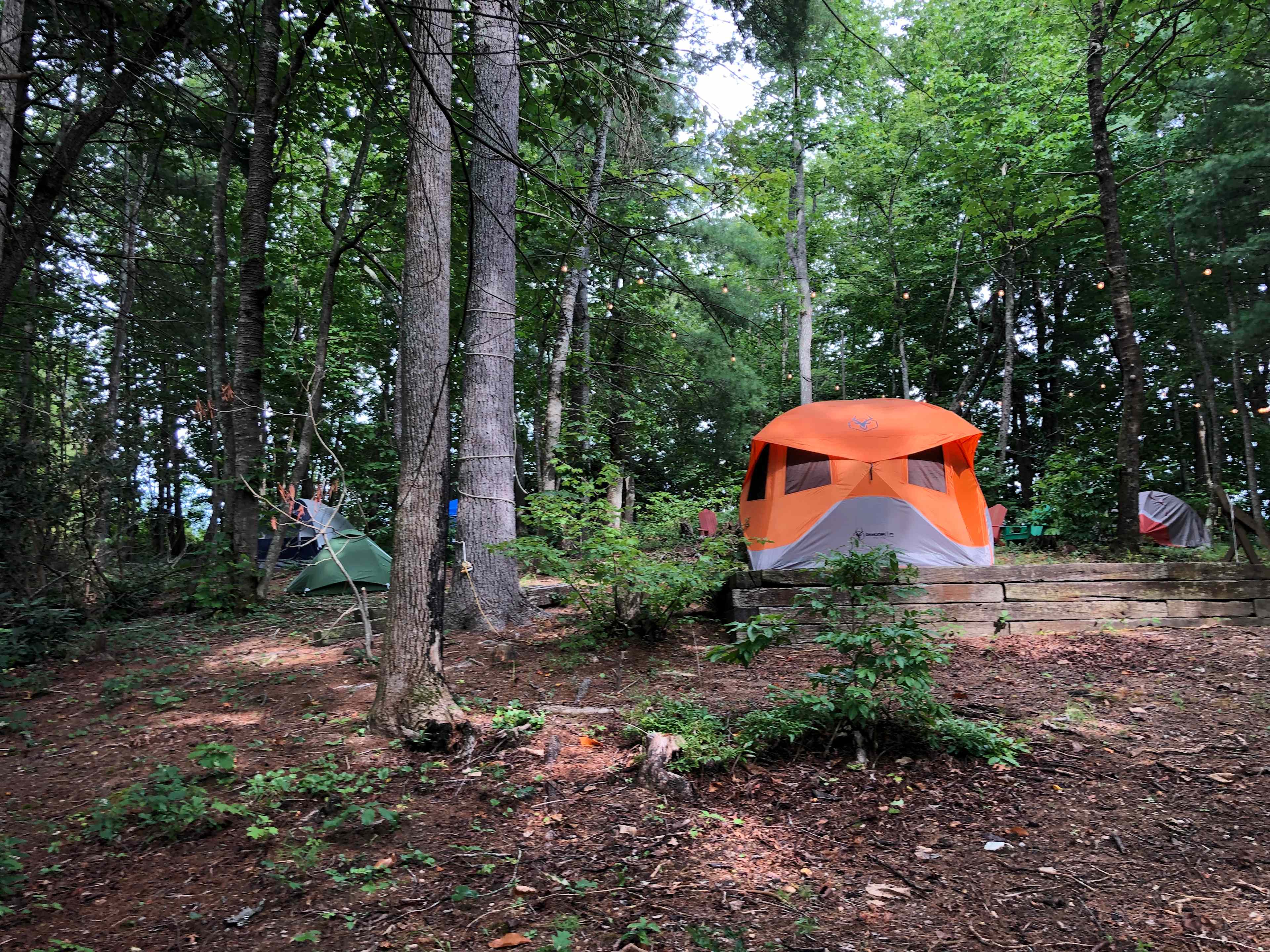 mckinley trek-zelt escape 40.3 30.3 Trek Zelt Sport & Freizeit C__Ergonomie PROMO TENT 3X3M - Stil:Zeltüberdachung für Mongar 2 Zelt Lila