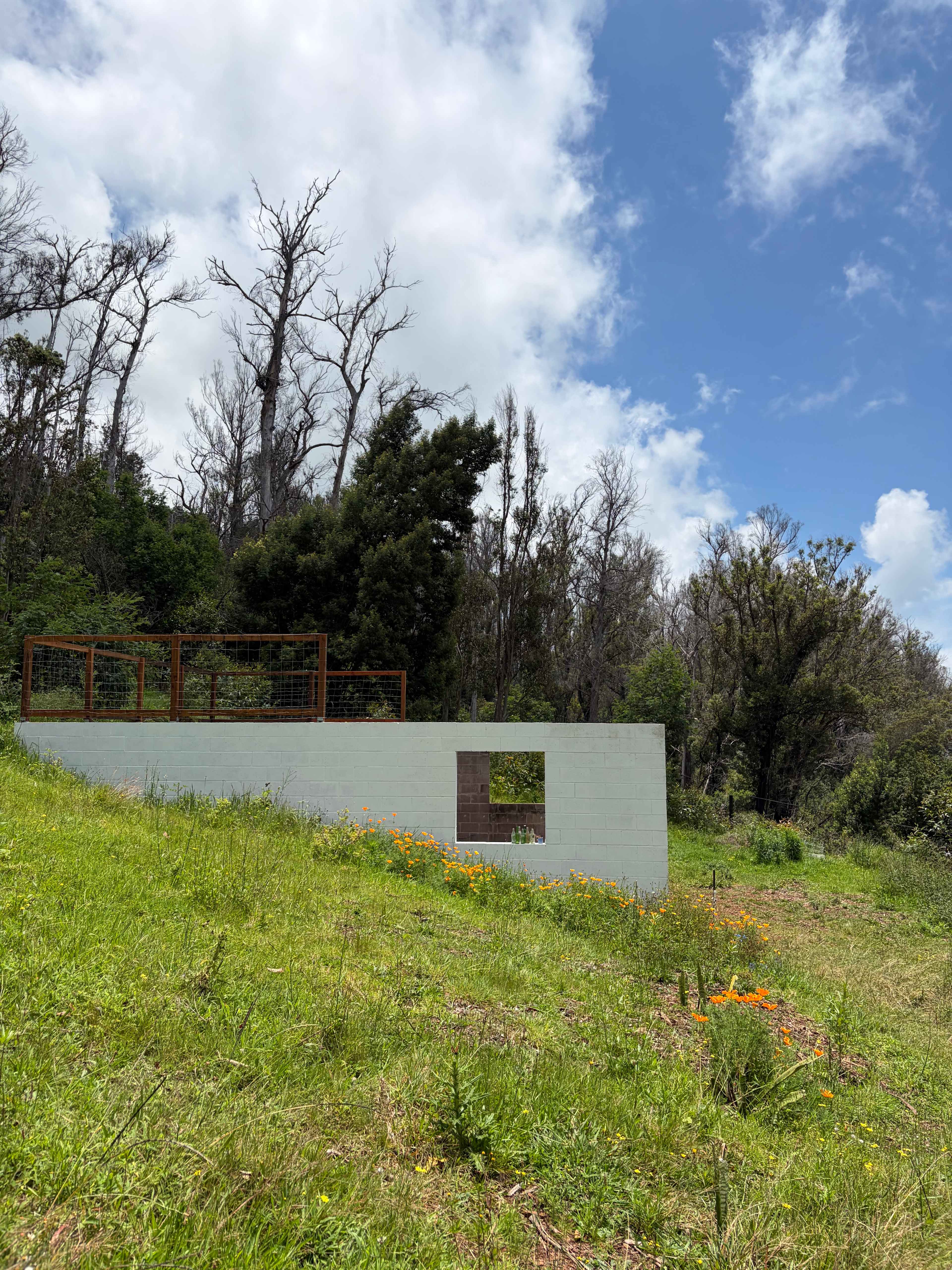 Camping Near Hana, HI, US: 20 Best Campgrounds 2026 | Hipcamp