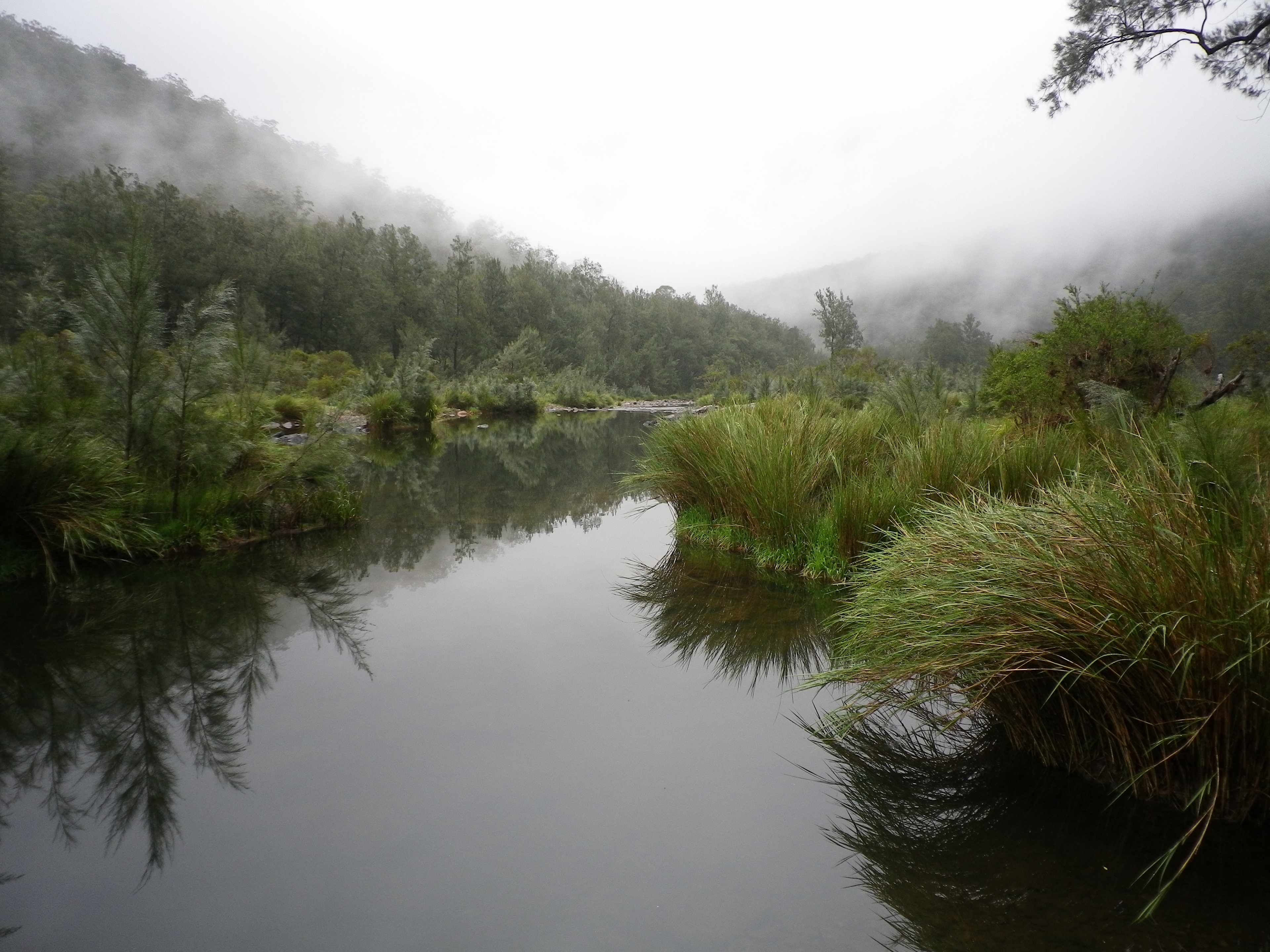 Misty morning