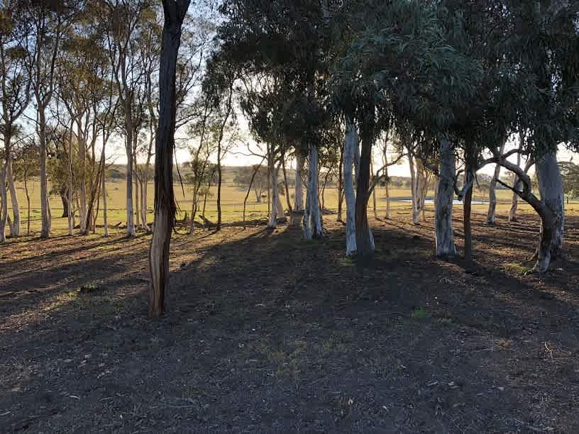 Drive through Fenced Campground Site
