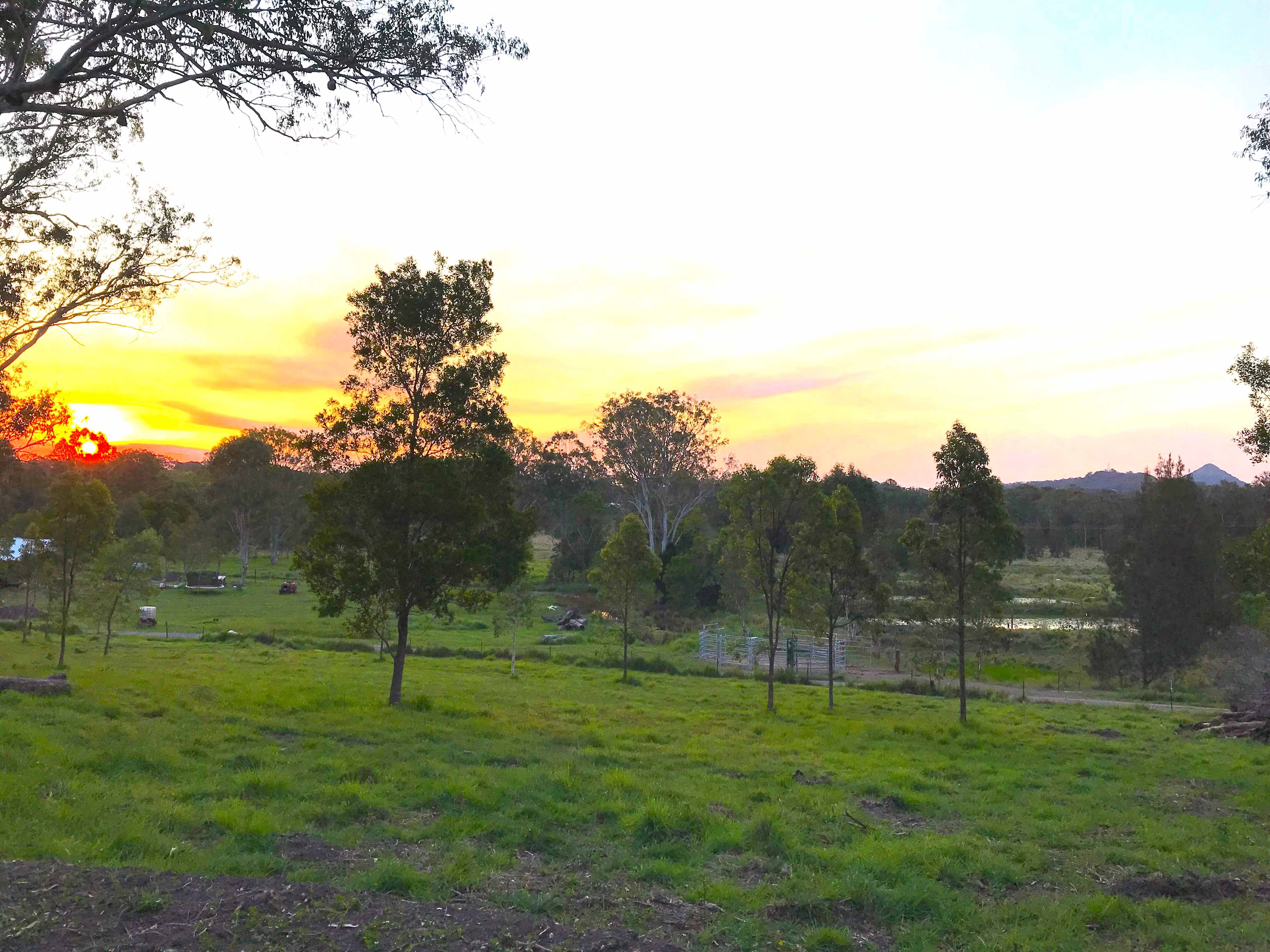 Sunset from Site 1.