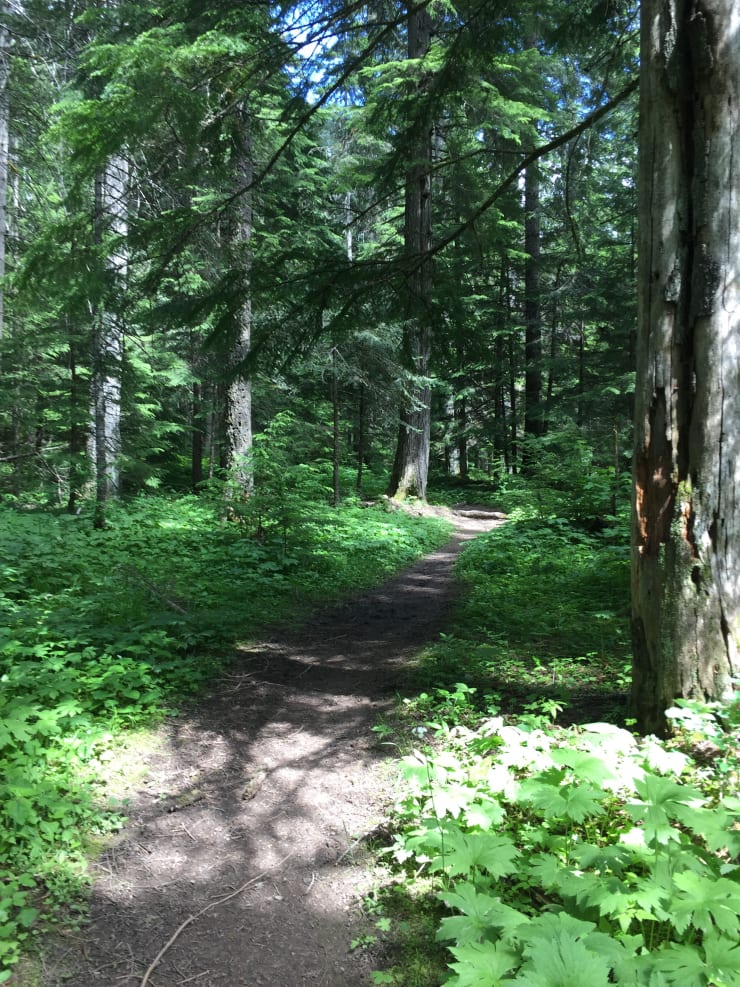 English Point Recreation Trails