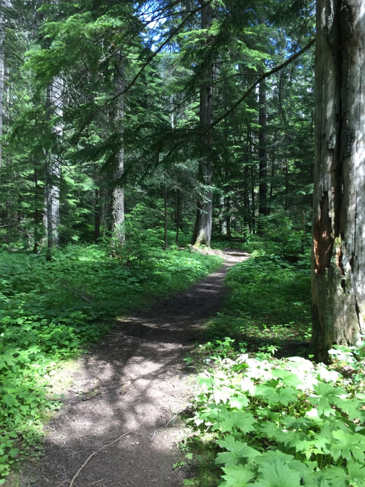 English Point Recreation Trails