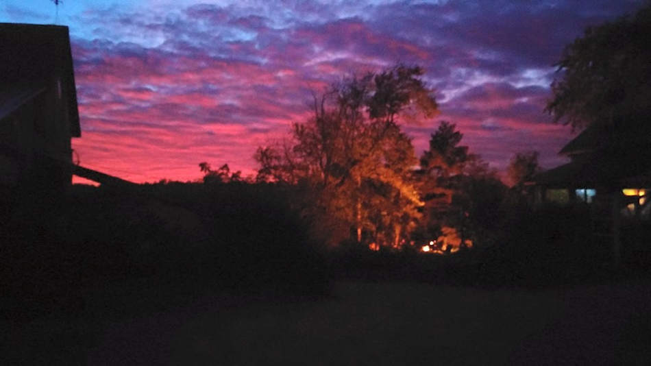 Purplehaze Acres