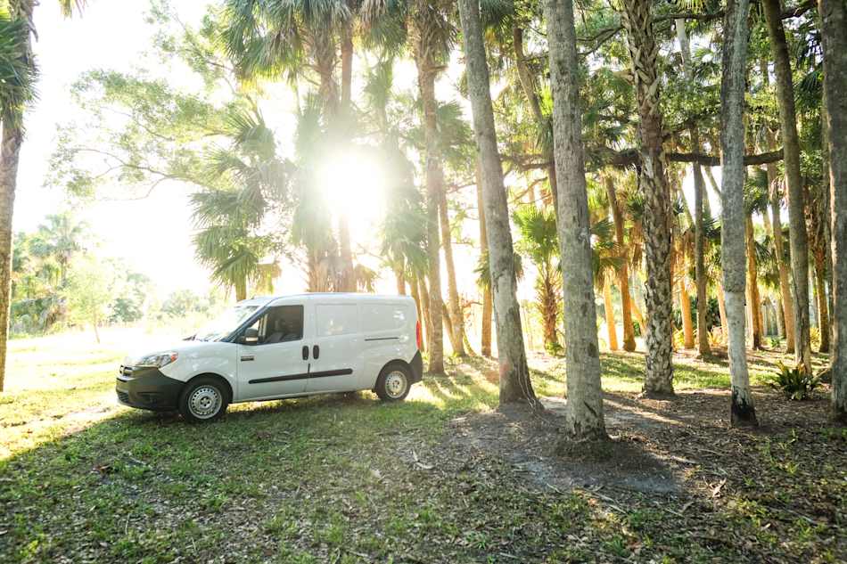 A perfect campsite beneath the palms!
