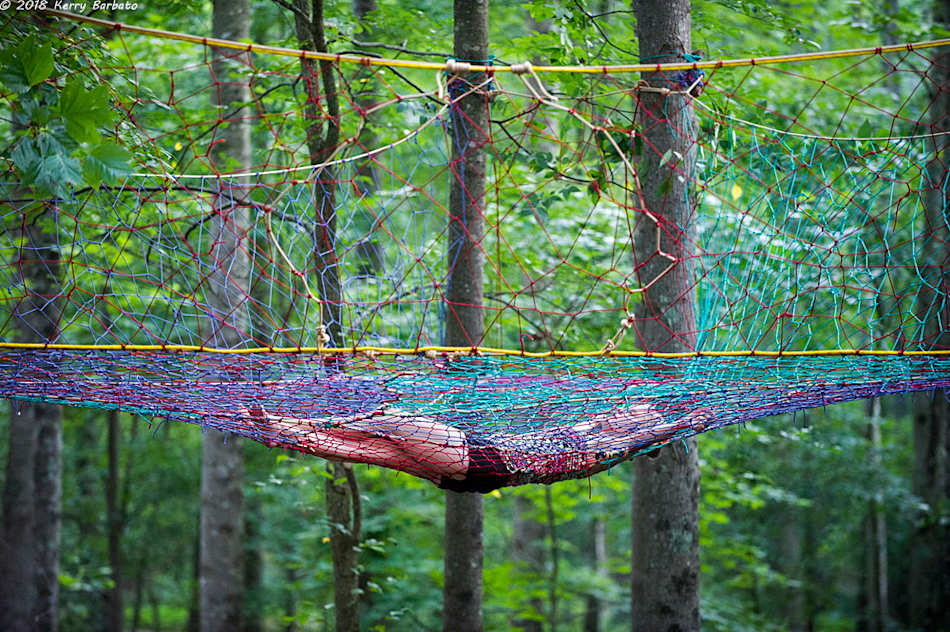 Our new Tree Web. Hang out 15 feet up in the trees