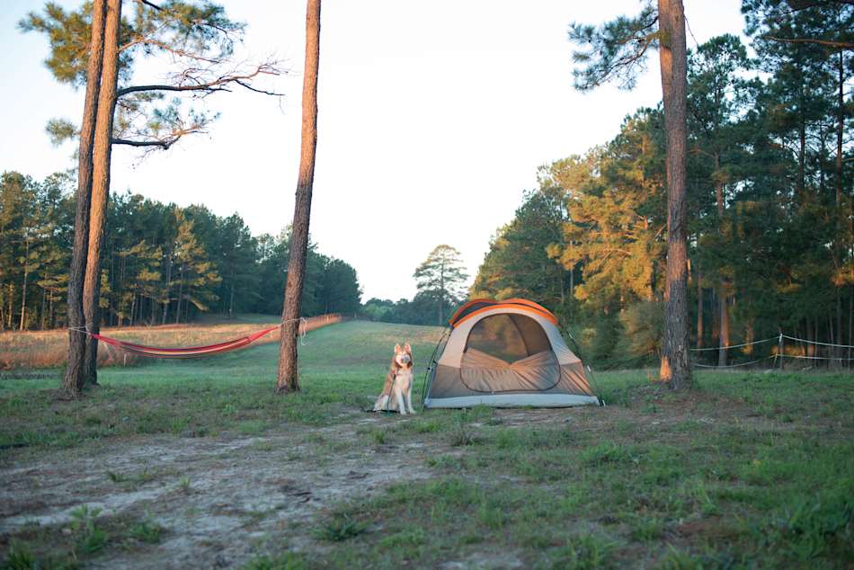 Webberville