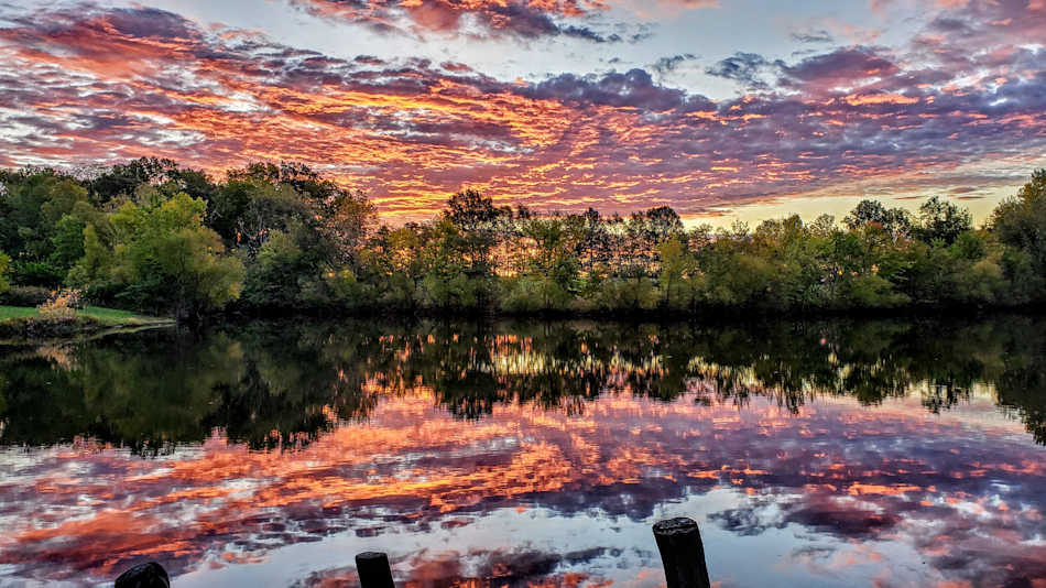 Reflect