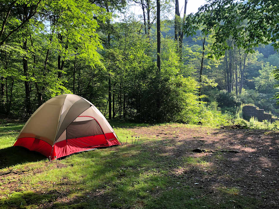 Site #4 - love that morning sunlight!