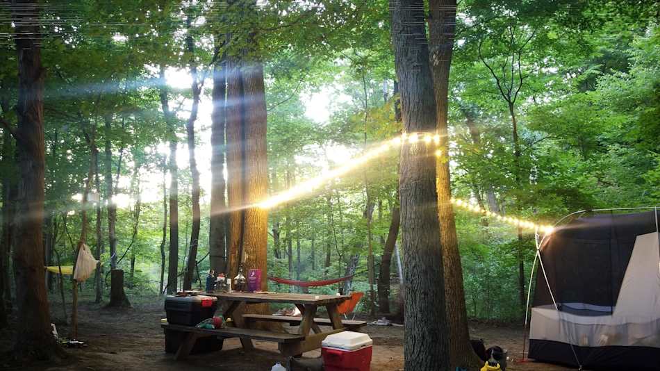 Evening lighting at Site #3