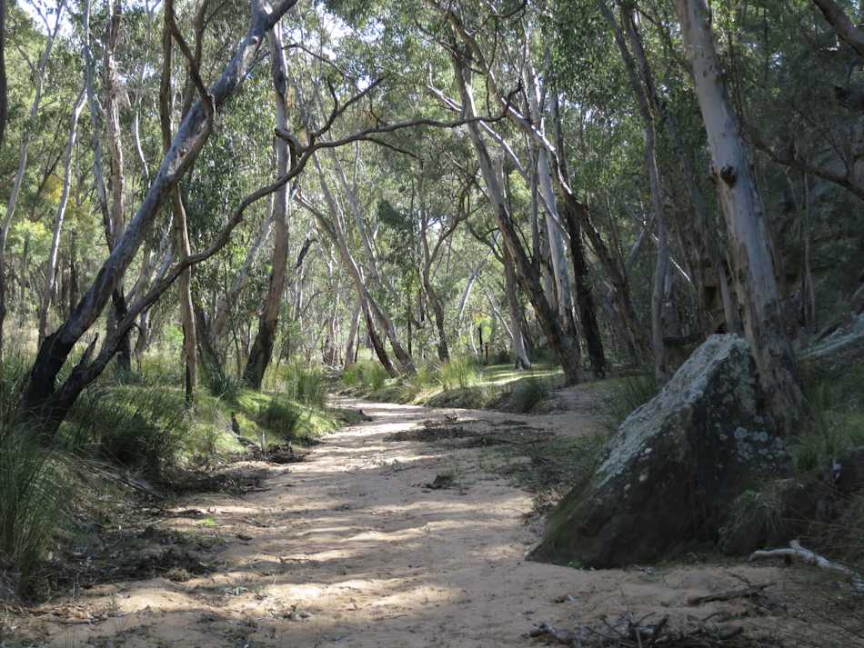 Pilliga National Park