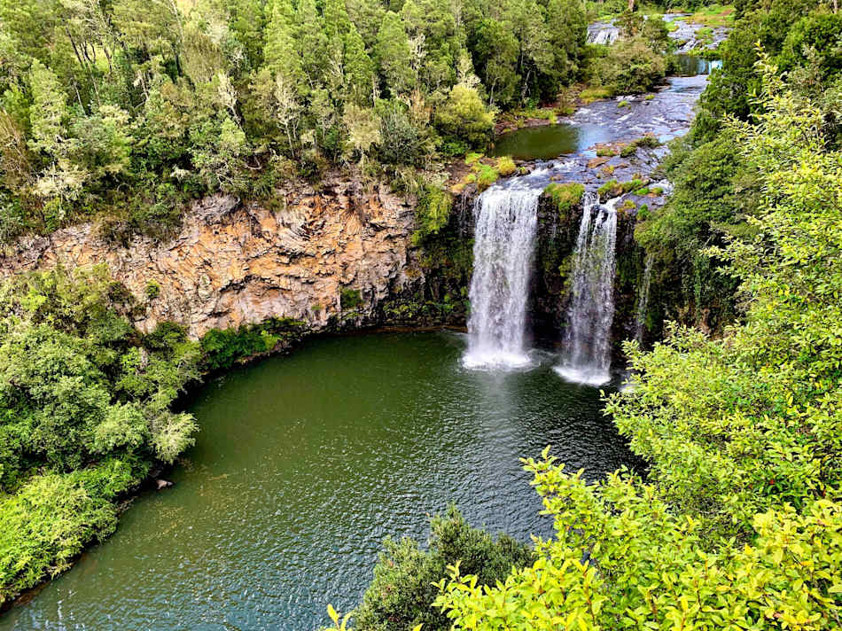 Dorrigo National Park
