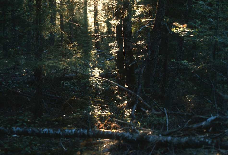Blue Lake Provincial Park