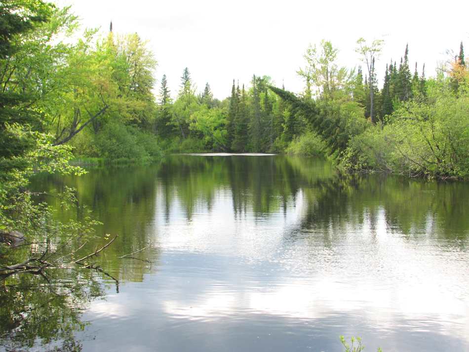 Bonnechere Provincial Park