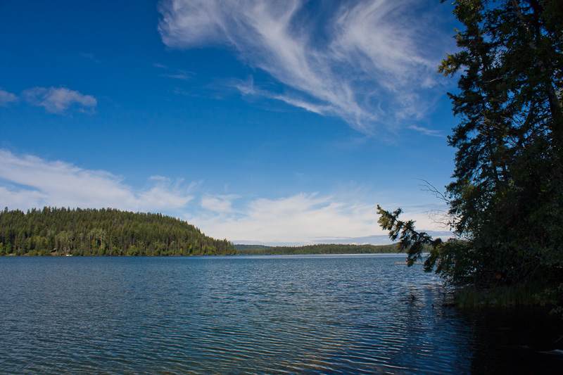 Bridge Lake Provincial Park