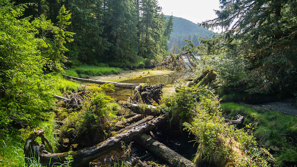 Cape Scott Provincial Park
