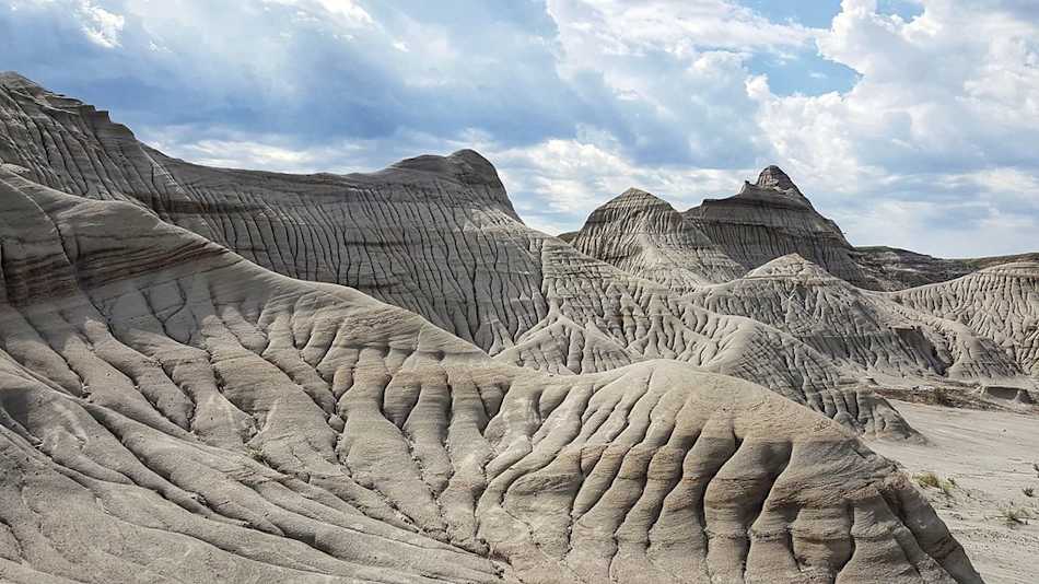 Dinosaur Provincial Park