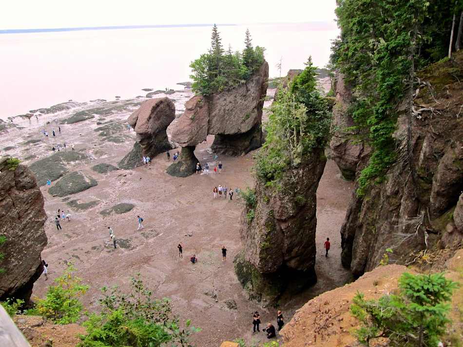 Hopewell Rocks Provincial Park